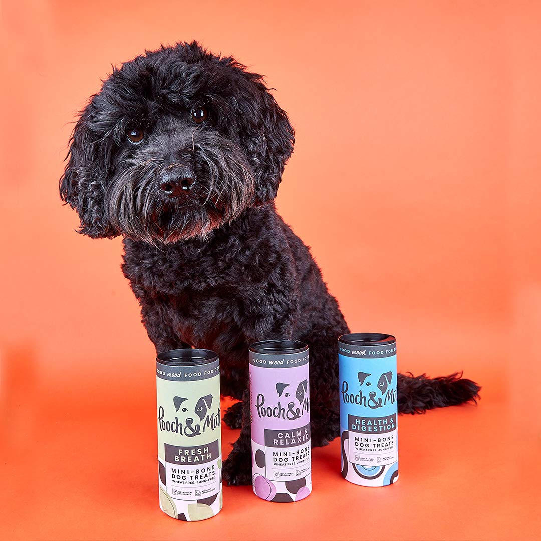 Pooch & Mutt - Meaty Jerky Treats, Grain Free Baltic Beef for Training Reward