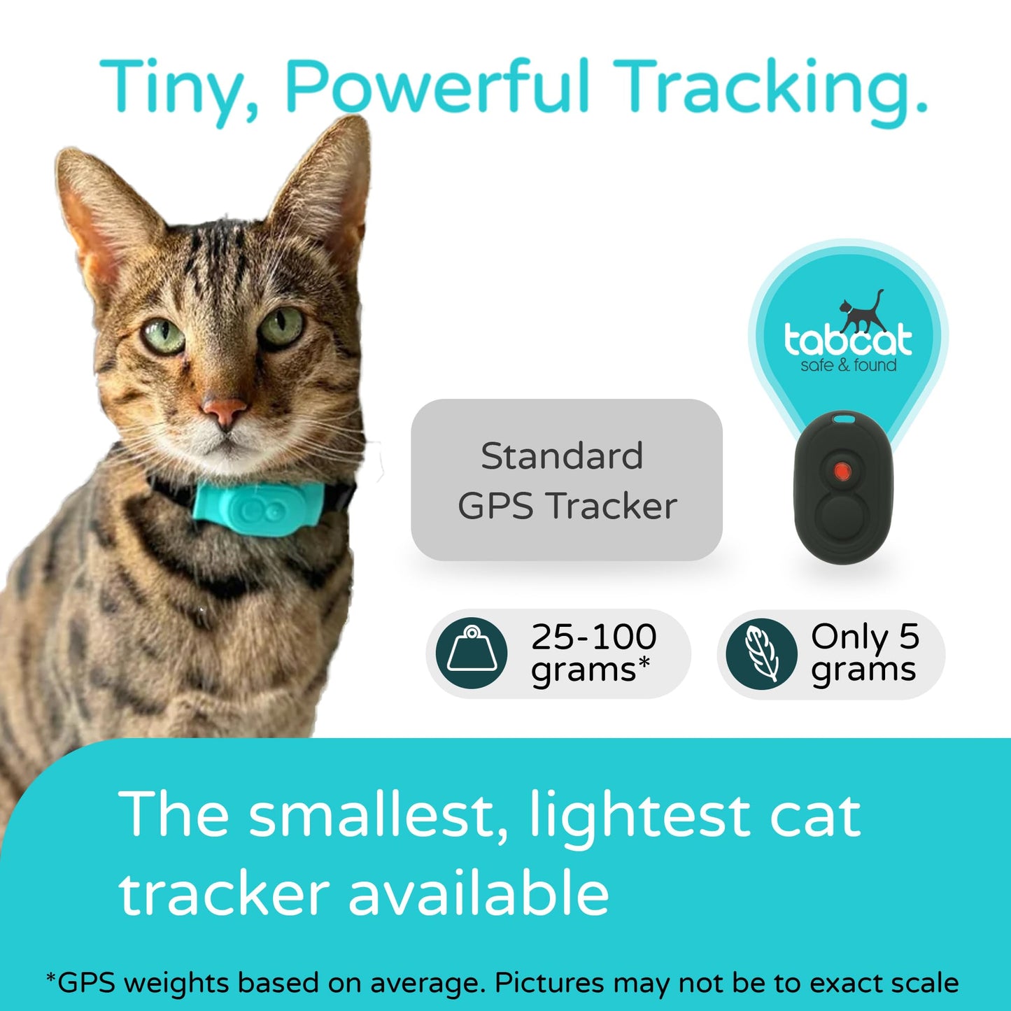 V2 Cat & Kitten Tracker - More Accurate than GPS - No Monthly Fee or Subscription - Includes 2 Homing Tags - Up To 150m Range - Small & Lightweight Tags Perfect to Find Indoor & Outdoor Cats
