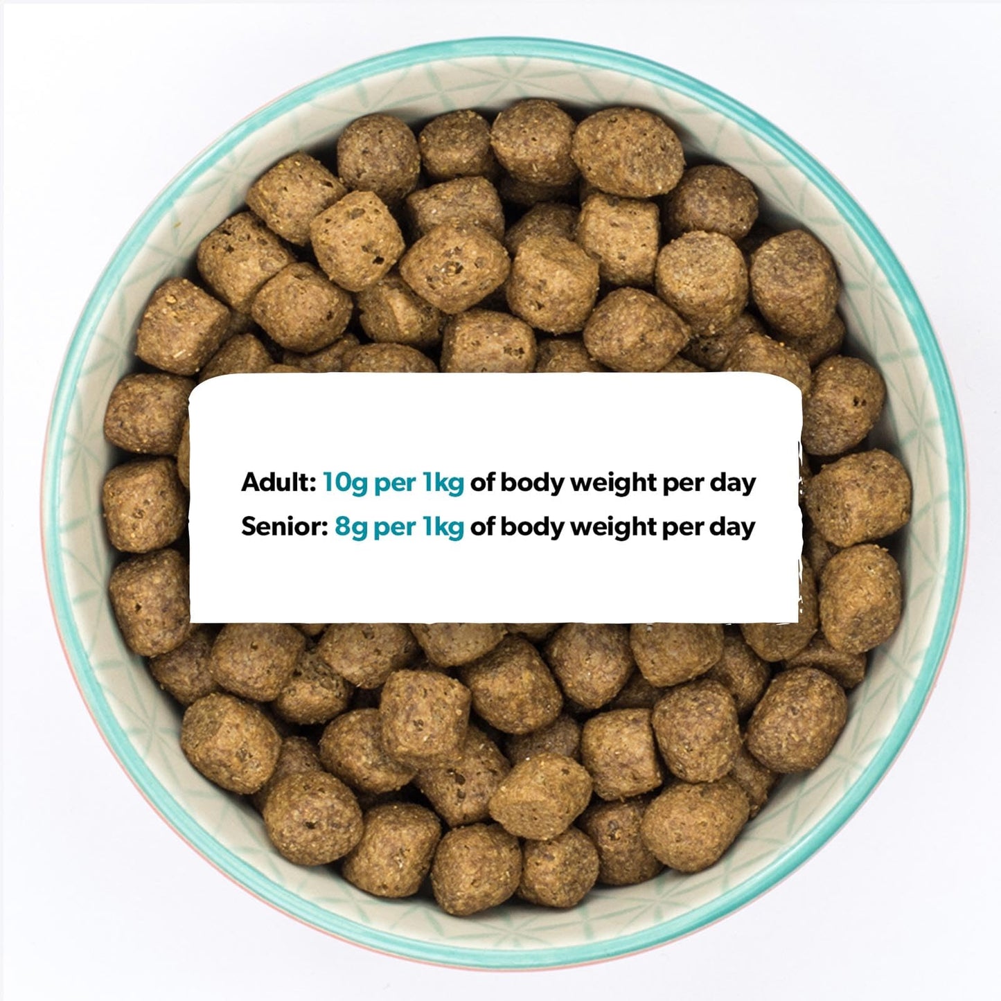 Burns Pet Nutrition Hypoallergenic Complete Dry Dog Food Adult and Senior Dog Sensitive with Duck and Brown Rice 2 kg
