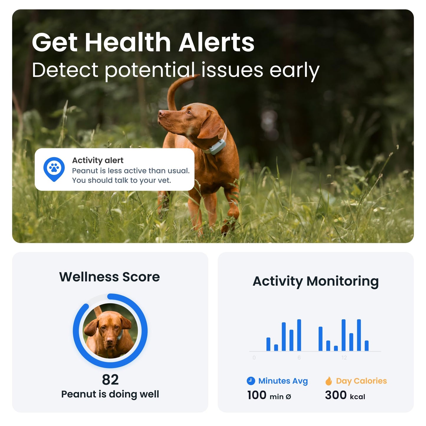 Tractive GPS Dog Tracker | 2025 Edition | Market leader | Real-time location tracking | Escape Alerts | Activity Monitoring | Health Alerts | Bark Monitoring