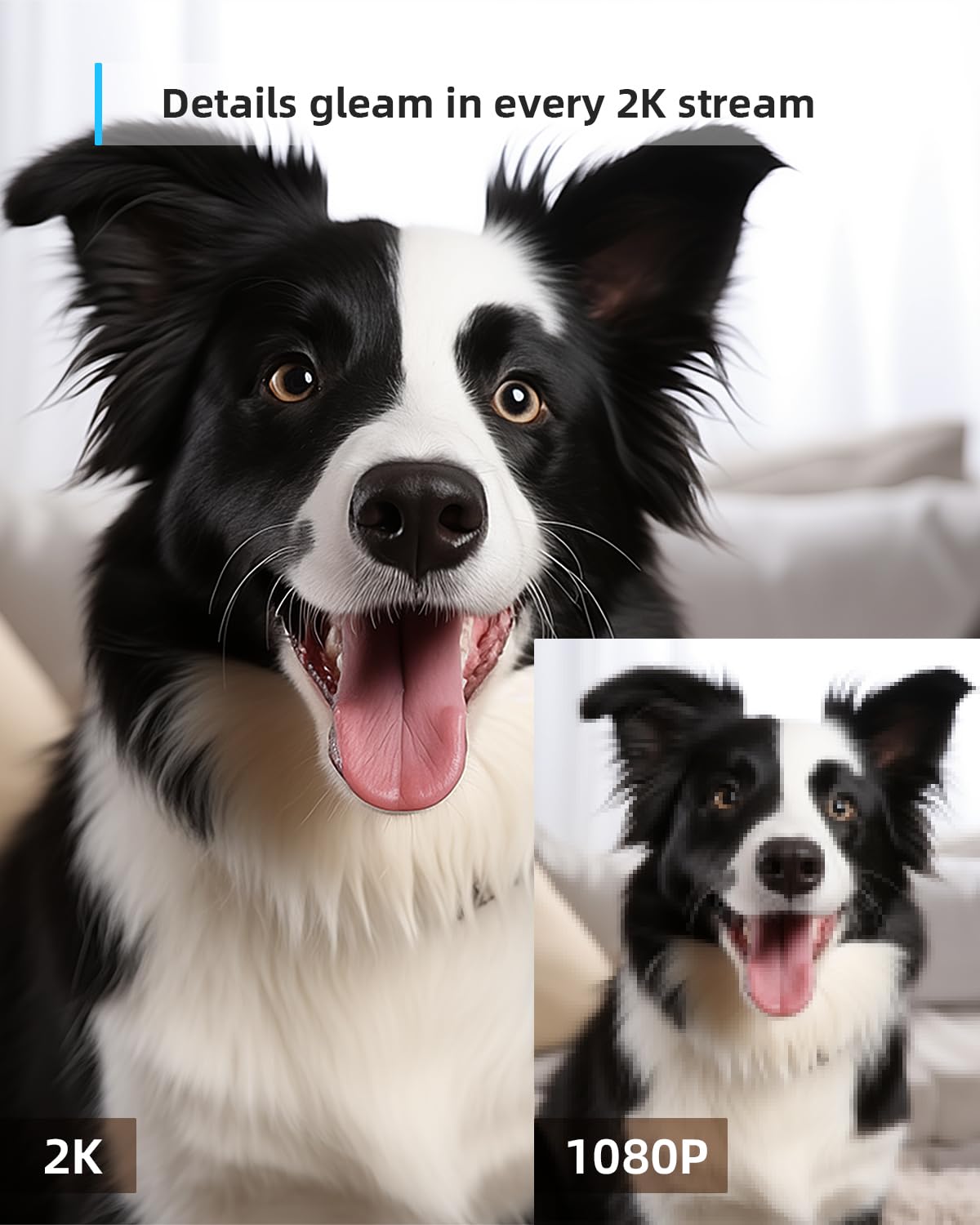 blurams Pet Camera 2K, Indoor Camera, Dog Camera, 360° Home Security Camera, Night Vision, Motion Tracking, 2-Way Talk, Cloud&SD, APP Control, Works with Alexa