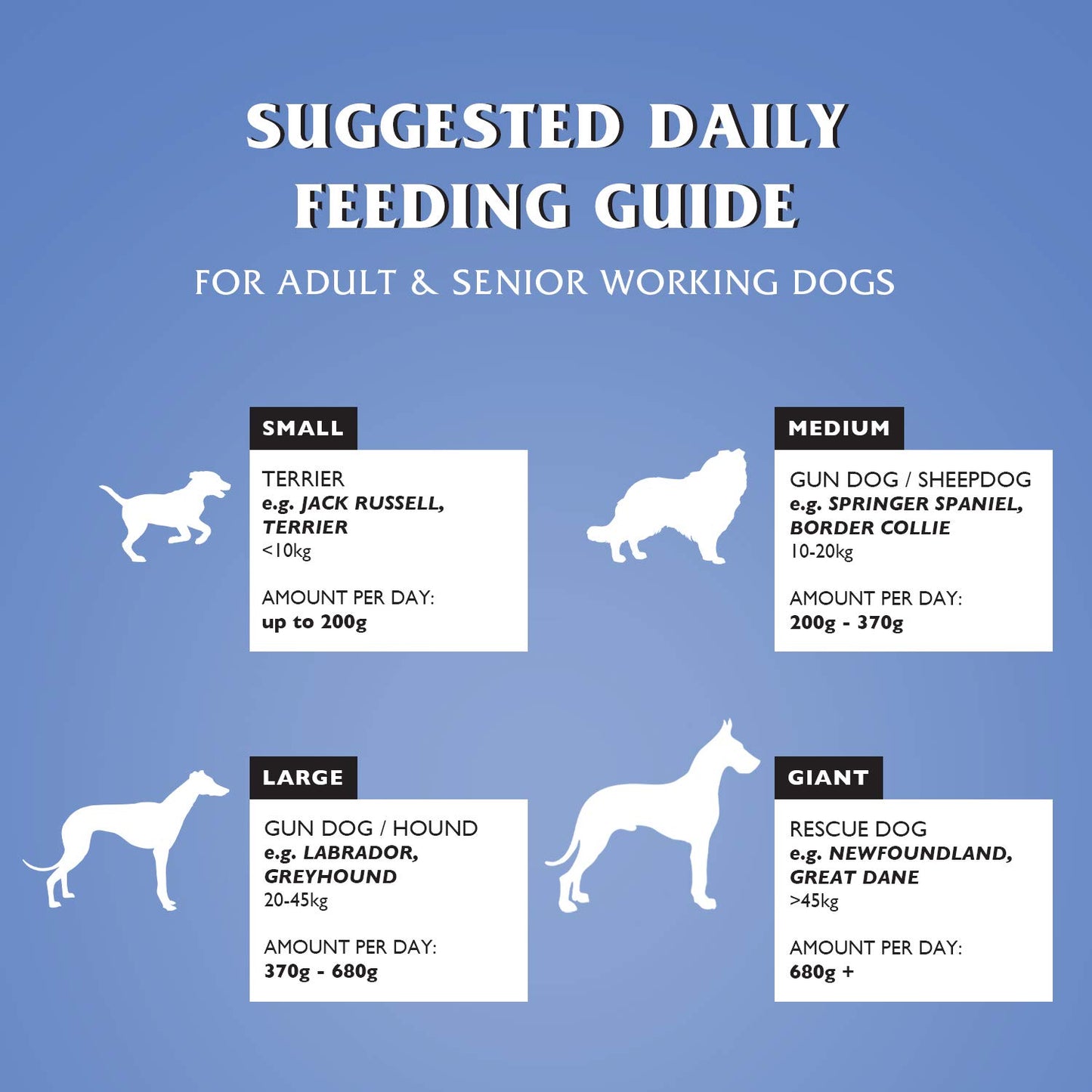 Dr John Silver Dry Dog Food 15kg - Beef with Vegetables - Complete Dog Biscuits 15kg - Senior and Adult Dog Food for Light Activity, Maintenance and Resting Dogs