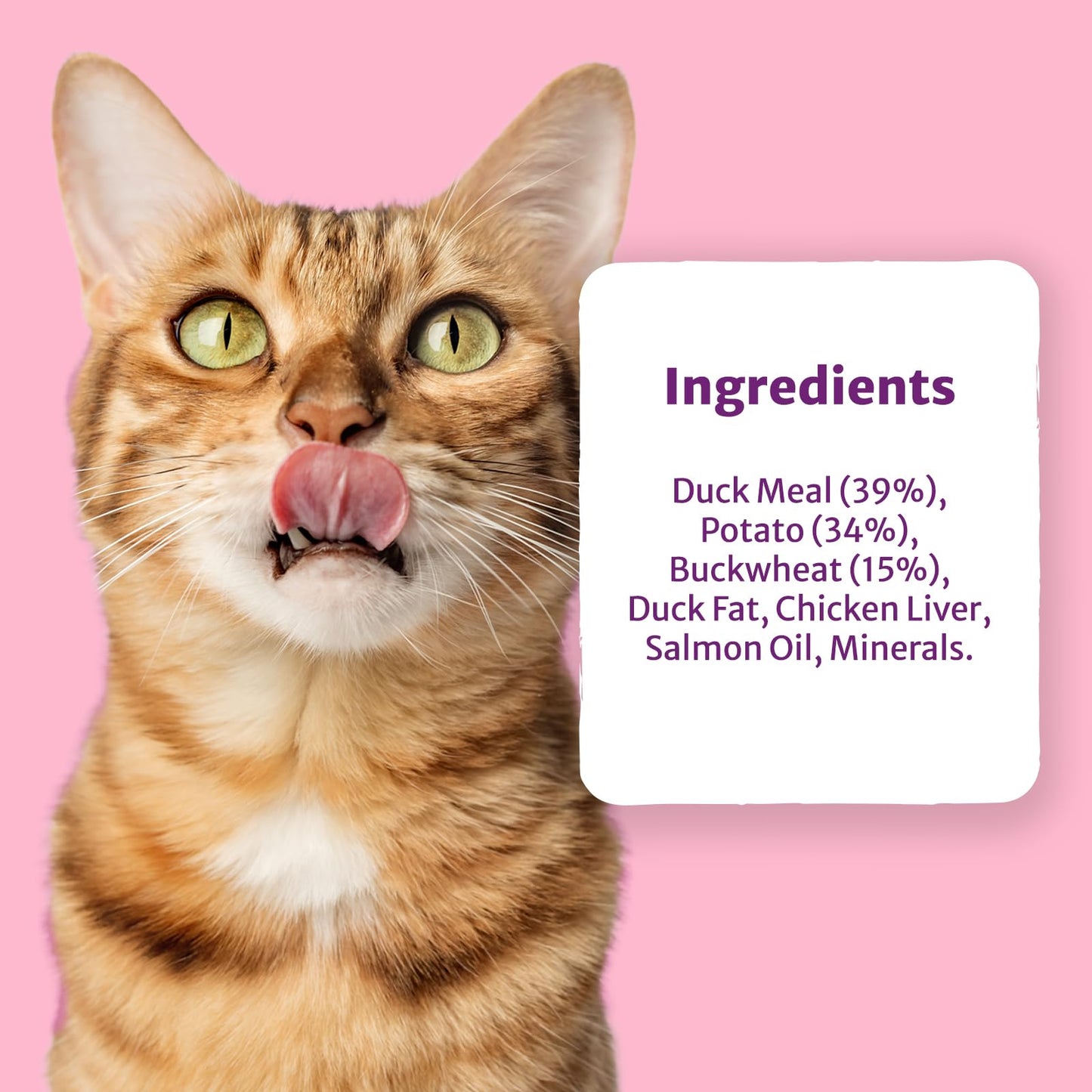 Burns Pet Nutrition Cat Food Sensitive Duck and Potato Grain Free 1.5 kg