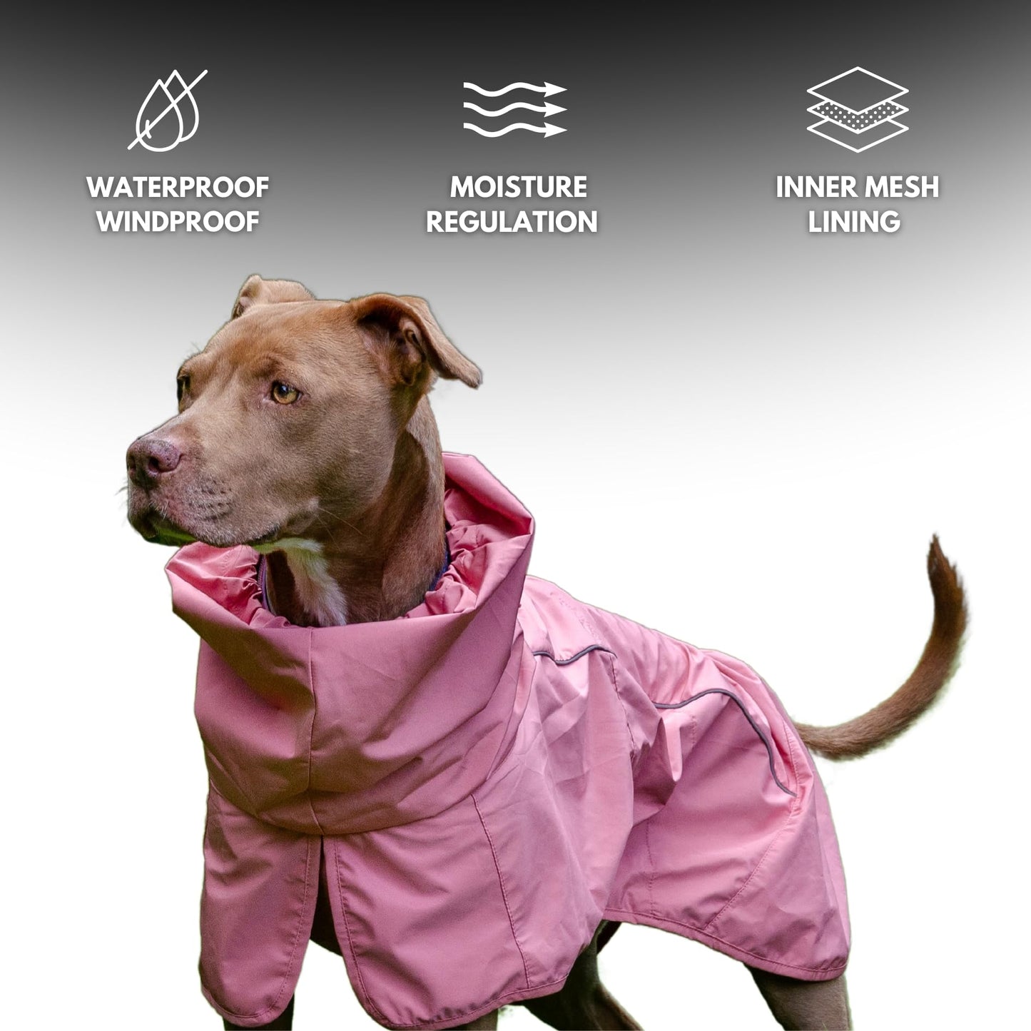 Spark Paws Dog Raincoat, Waterproof Windproof Rain Jacket, For Small Medium Large Extra Large Dogs, Reflective Breathable Full-body Coverage Dry Suit - Neon White Navy Blue, 2XL
