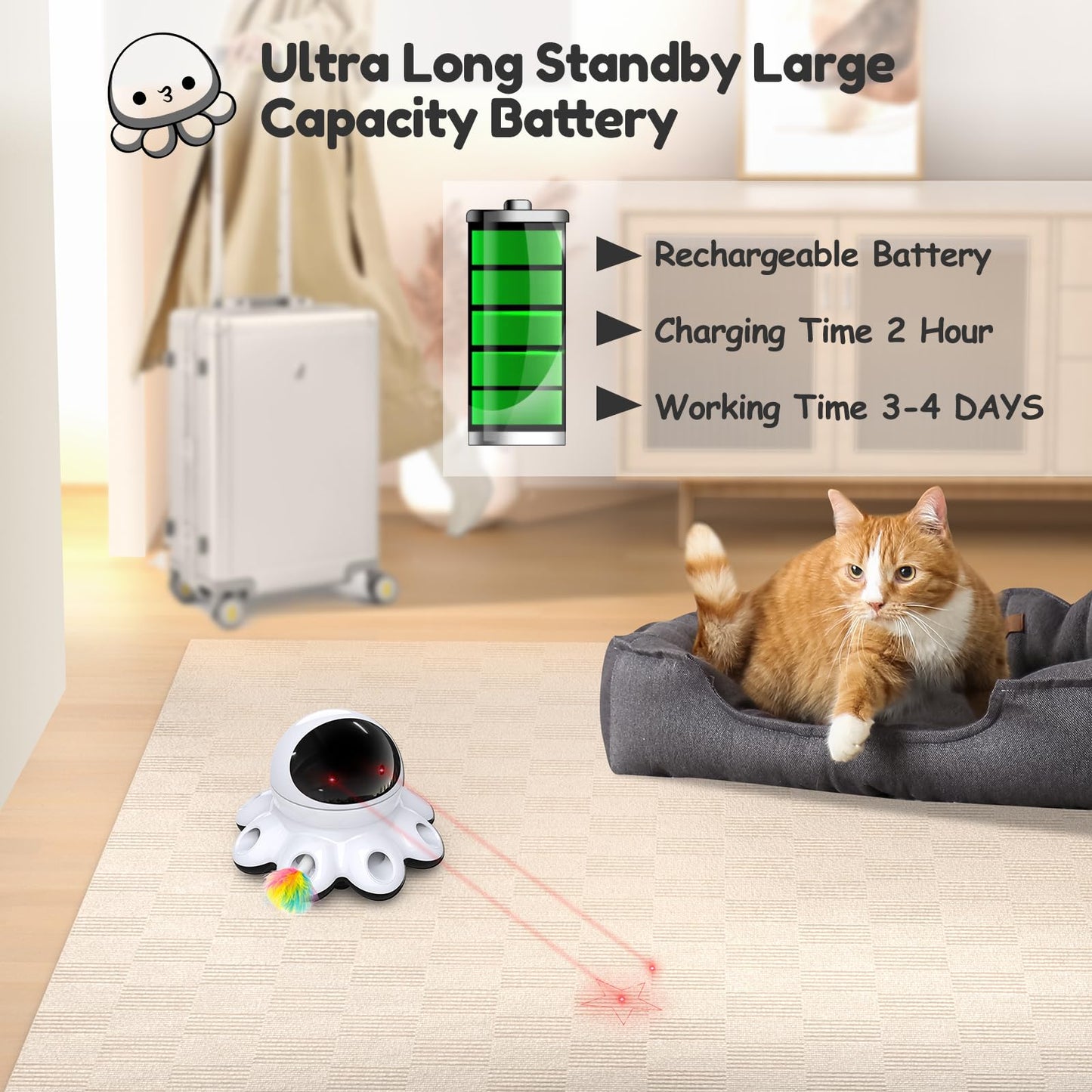 GoldenSun Cat Toy, 2-in-1 Interactive Cat Toys for Indoor Cats, Automatic Cat Toy, 8 Holes Mice Whack A Mole Moving Feather, USB Rechargeable Electronic Kitten Toys for All Breeds Black