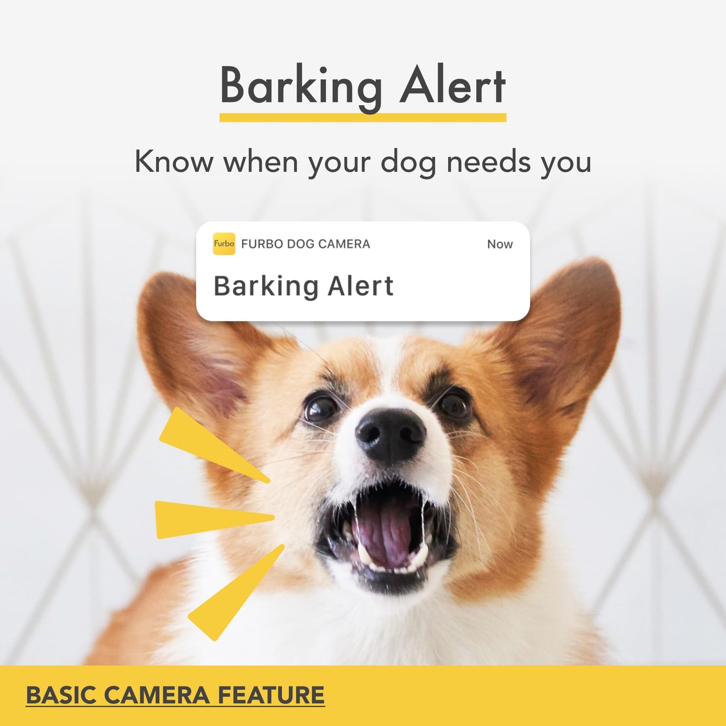 Furbo 360° Dog Camera w/Home Safety Package [PREMIUM W/SUBSCRPITION] Smart Pet Monitor w/App for Dog & Home, Rotating 360° View, Colour Night Vision, Auto-Tracking, Treat-toss, Barking, Smart Alert