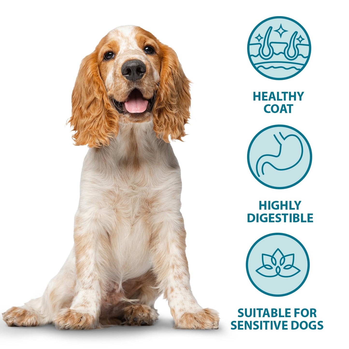 Burns Pet Nutrition Hypoallergenic Complete Dry Dog Food Adult and Senior Dog Sensitive with Duck and Brown Rice 2 kg