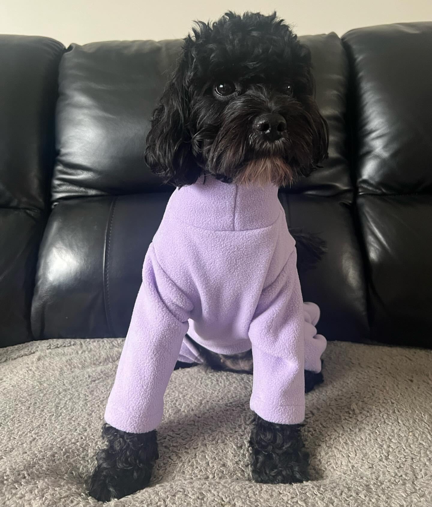 Warm Four-Legged Dog Fleece – Super Soft, Weather-Resistant, Available in a Range of Sizes and Colours