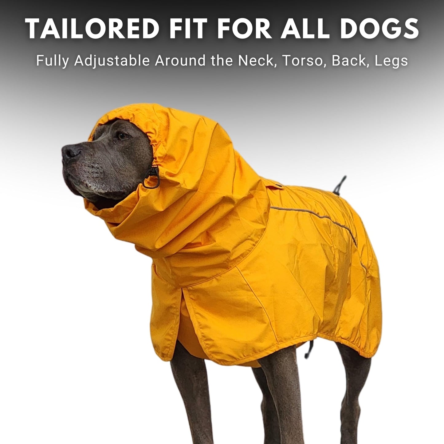 Spark Paws Dog Raincoat, Waterproof Windproof Rain Jacket, For Small Medium Large Extra Large Dogs, Reflective Breathable Full-body Coverage Dry Suit - Neon White Navy Blue, 2XL