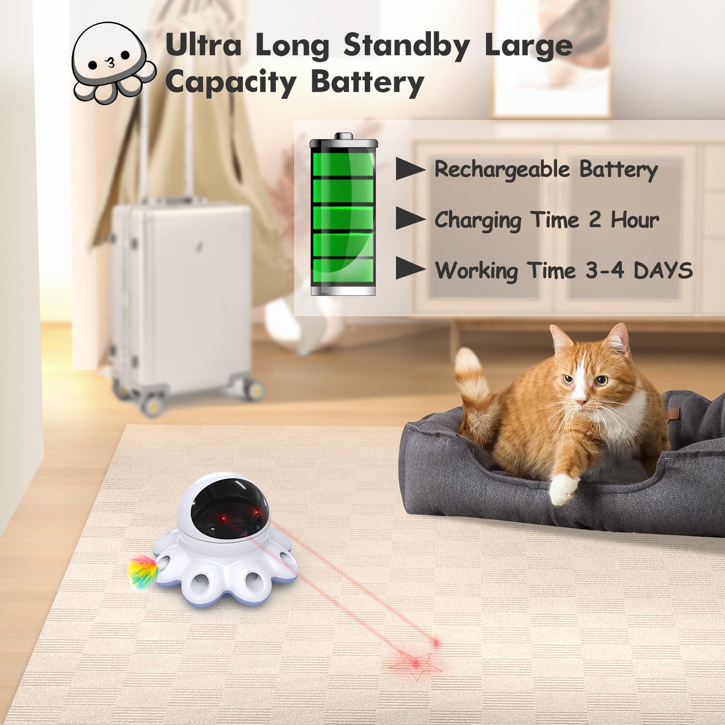 GoldenSun Cat Toy, 2-in-1 Interactive Cat Toys for Indoor Cats, Automatic Cat Toy, 8 Holes Mice Whack A Mole Moving Feather, USB Rechargeable Electronic Kitten Toys for All Breeds Black