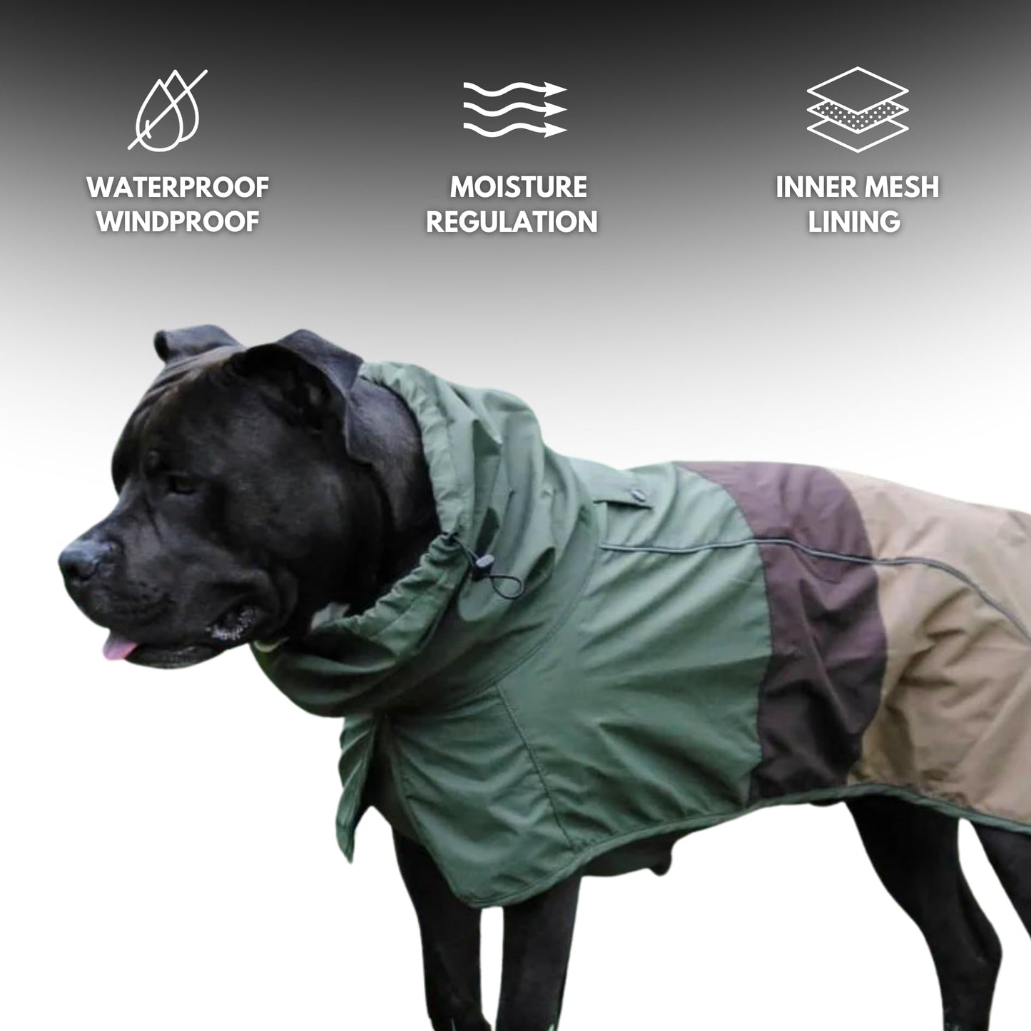 Spark Paws Dog Raincoat, Waterproof Windproof Rain Jacket, For Small Medium Large Extra Large Dogs, Reflective Breathable Full-body Coverage Dry Suit - Neon White Navy Blue, 2XL