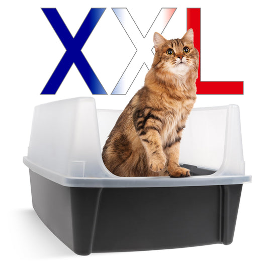 Iris Ohyama Cat Litter Tray with Scoop, Grey, Easy to Clean, Cat Litter Box, Detachable Spill Preventing Walls, For Kittens, Adult Cats, Rabbits, BPA Free, Open Top, Modern, CLH-12