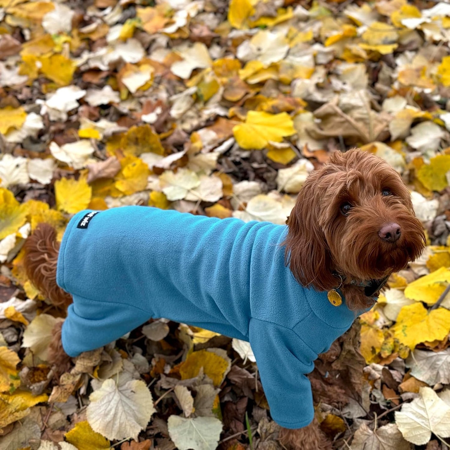 Warm Four-Legged Dog Fleece – Super Soft, Weather-Resistant, Available in a Range of Sizes and Colours