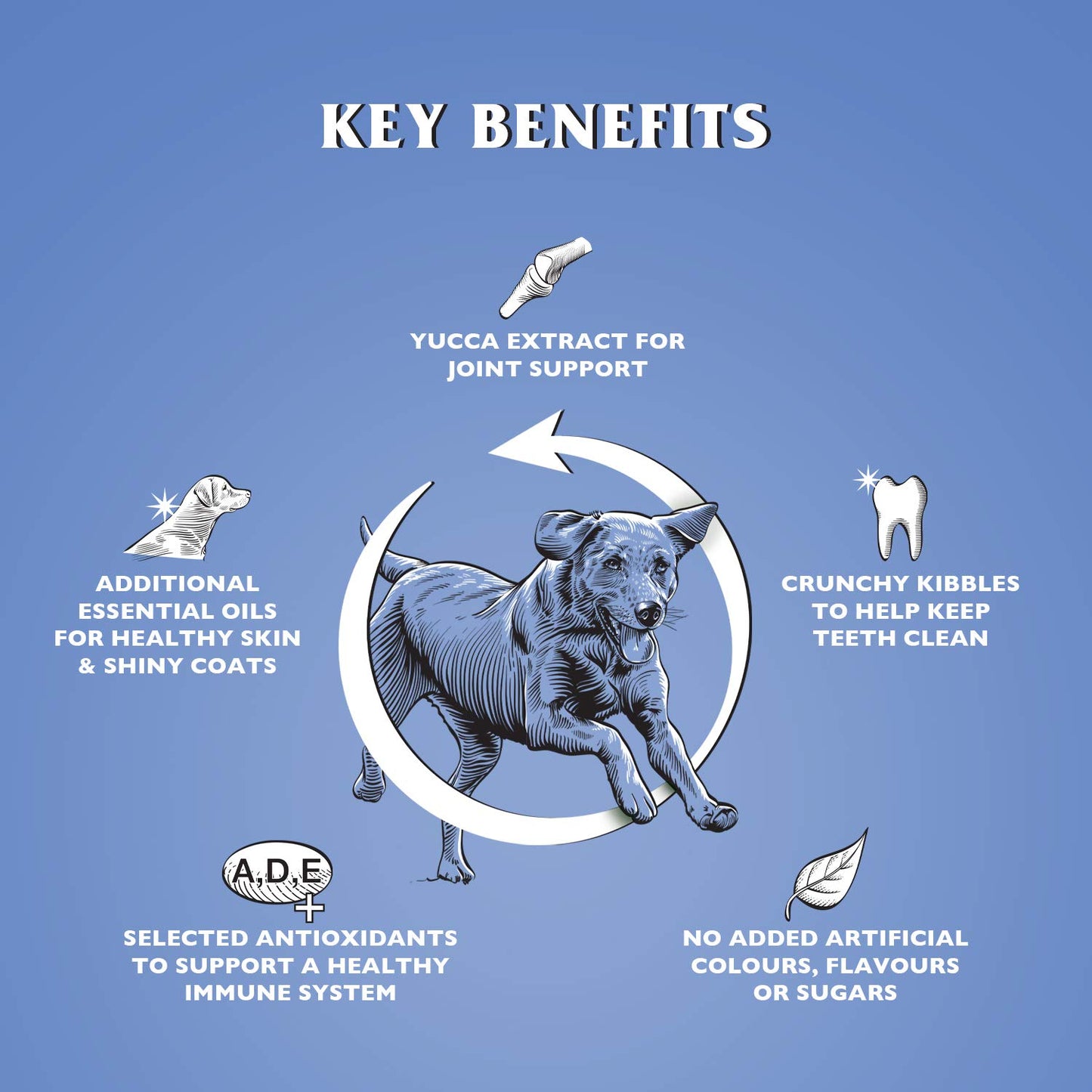 Dr John Silver Dry Dog Food 15kg - Beef with Vegetables - Complete Dog Biscuits 15kg - Senior and Adult Dog Food for Light Activity, Maintenance and Resting Dogs