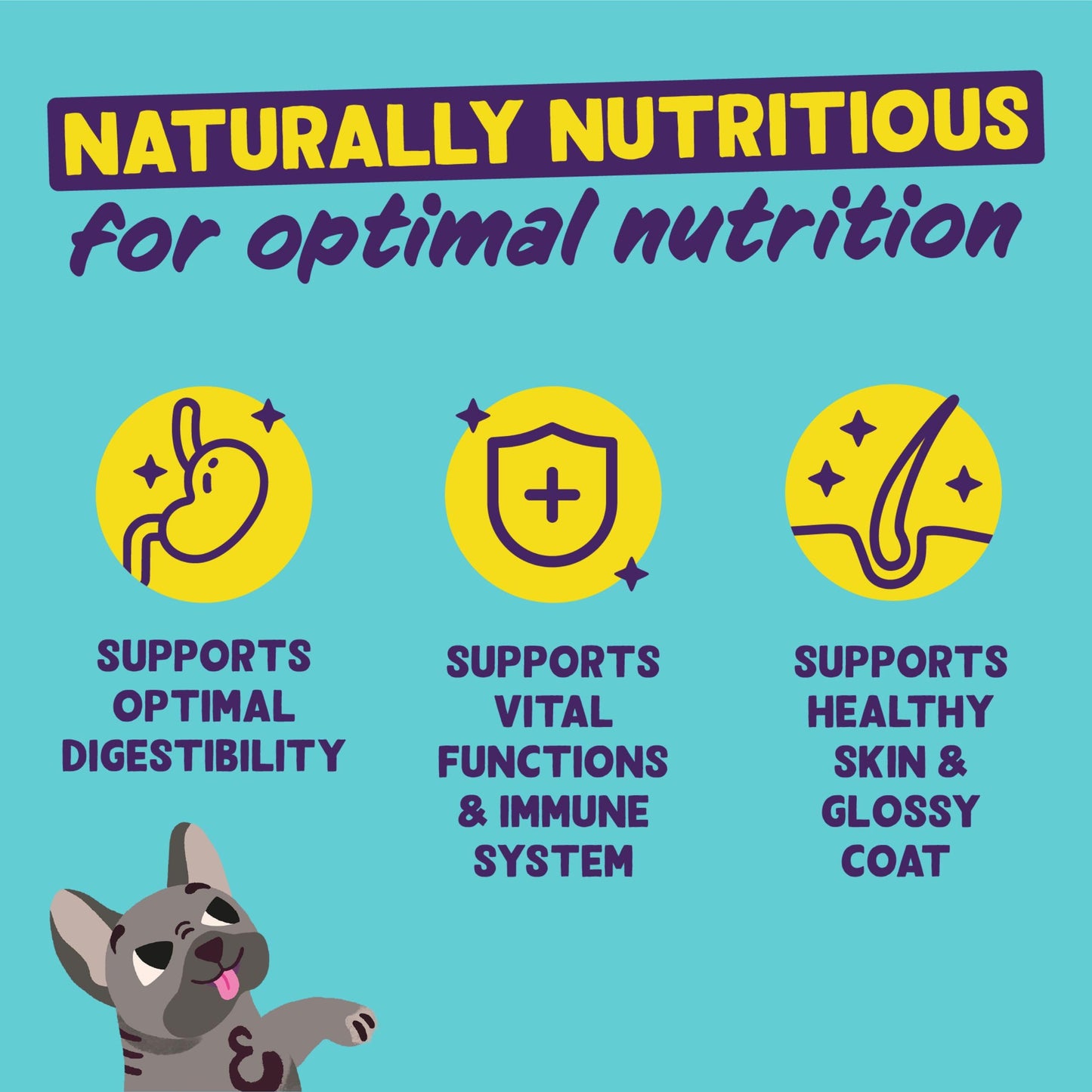 Edgard Cooper Grain Free Dog Food Dry, Natural Kibble Dry Dog Food for Adults, Gluten-Free, Hypoallergenic, with Fresh Meat & Amino Acids