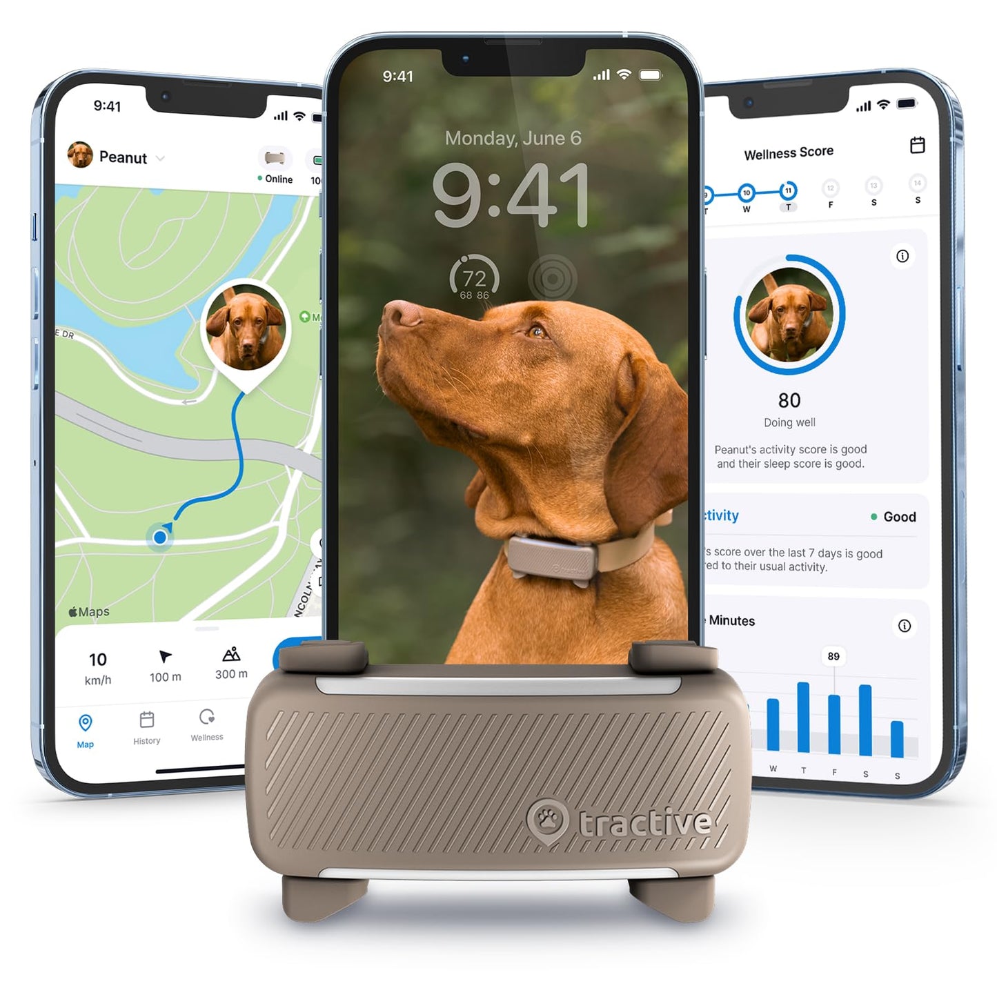 Tractive GPS Dog Tracker | 2025 Edition | Market leader | Real-time location tracking | Escape Alerts | Activity Monitoring | Health Alerts | Bark Monitoring