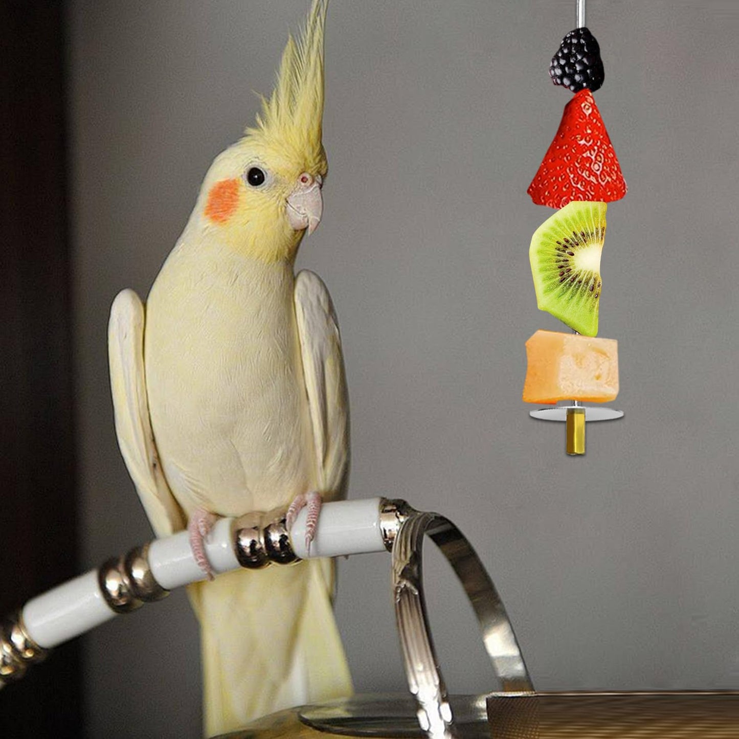 UTXN Parrot Fruit Skewers & Bird Parrot Apple Feeder - 2 PCS Stainless Steel Bird Fruit Skewers, Parrot Treats Food Holder Toy for Budgie, Cockatiel, Parakeet (Silver)