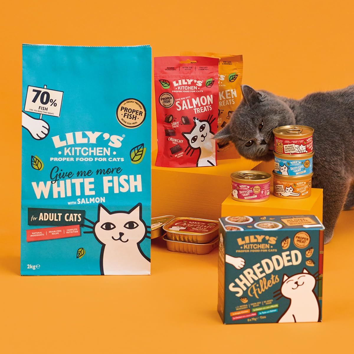 Lily's Kitchen Made with Natural Ingredients Adult Dry Cat Food Bag Grain-Free Recipe