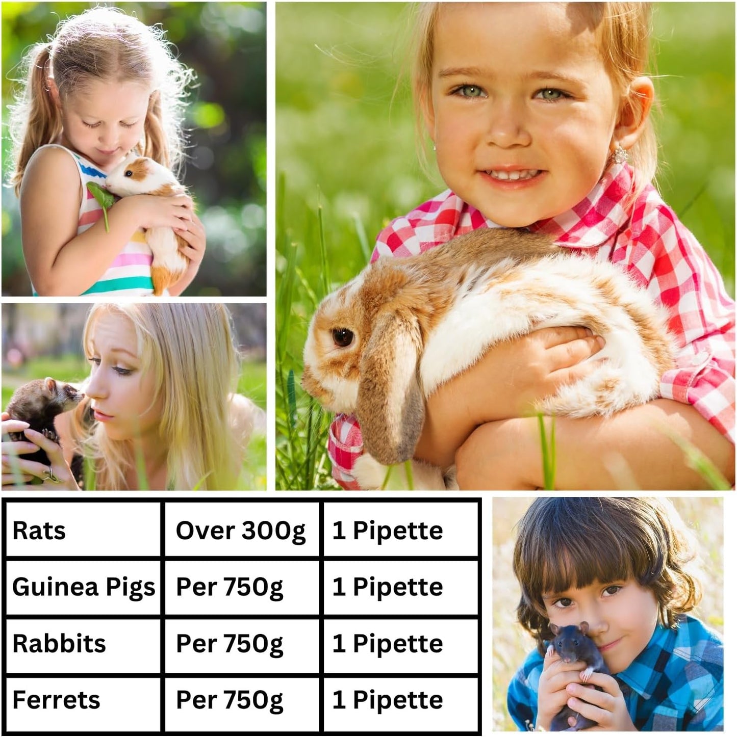Little Furries - 5 PIPETTES - Anti-Parasite Spot-On - Treat Rabbits, Guinea Pigs, Ferrets, & Rats Over 300 g - Kills Lice, Mice, Fleas, & Roundworms