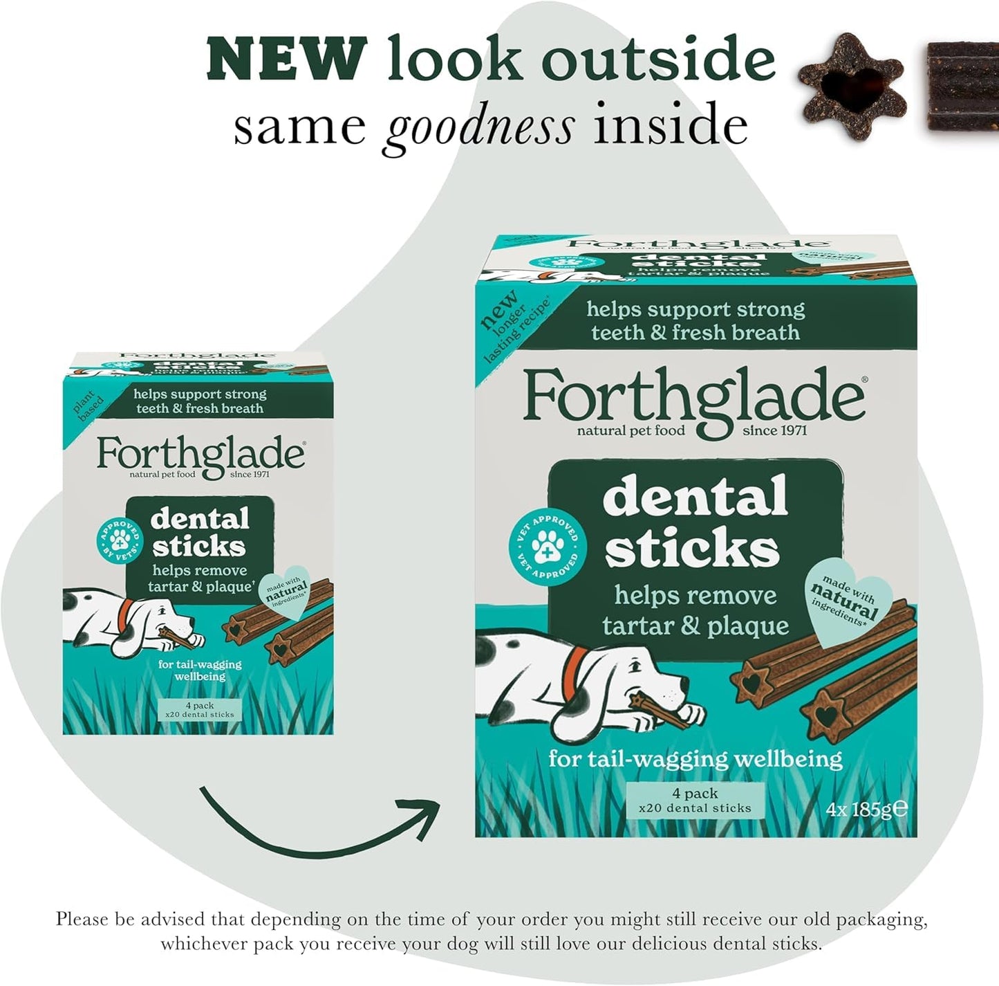 Forthglade Natural Dog Dental Sticks (20 Sticks) - Plant-Based & Grain Free Dog Treats, Dental Chews for Fresh Breath, Removes Plaque and Tartar, Resealable Bags