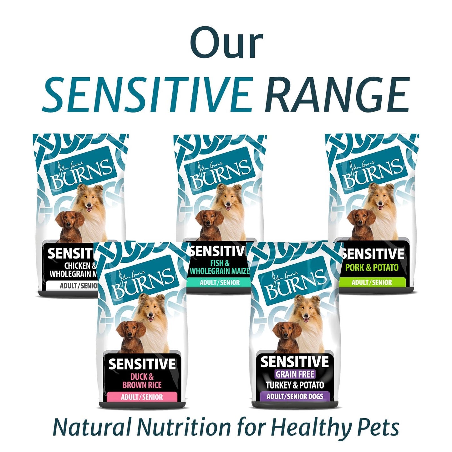 Burns Pet Nutrition Hypoallergenic Complete Dry Dog Food Adult and Senior Dog Sensitive with Duck and Brown Rice 2 kg