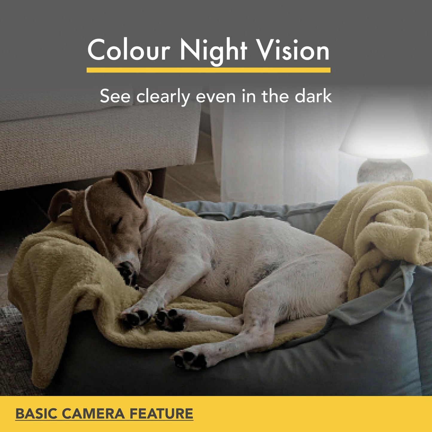 Furbo 360° Dog Camera w/Home Safety Package [PREMIUM W/SUBSCRPITION] Smart Pet Monitor w/App for Dog & Home, Rotating 360° View, Colour Night Vision, Auto-Tracking, Treat-toss, Barking, Smart Alert