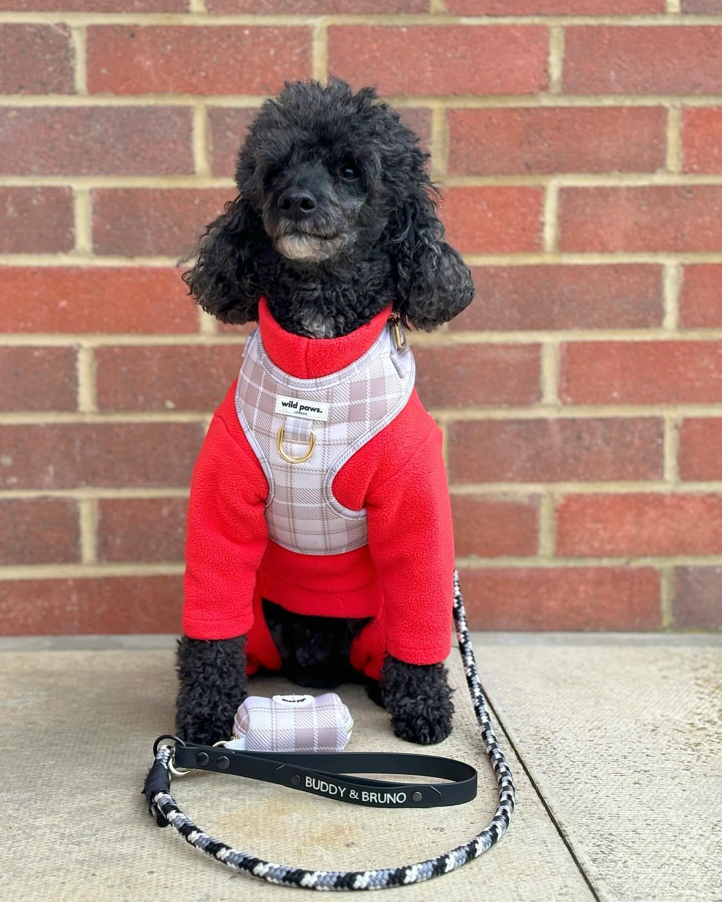 Warm Four-Legged Dog Fleece – Super Soft, Weather-Resistant, Available in a Range of Sizes and Colours