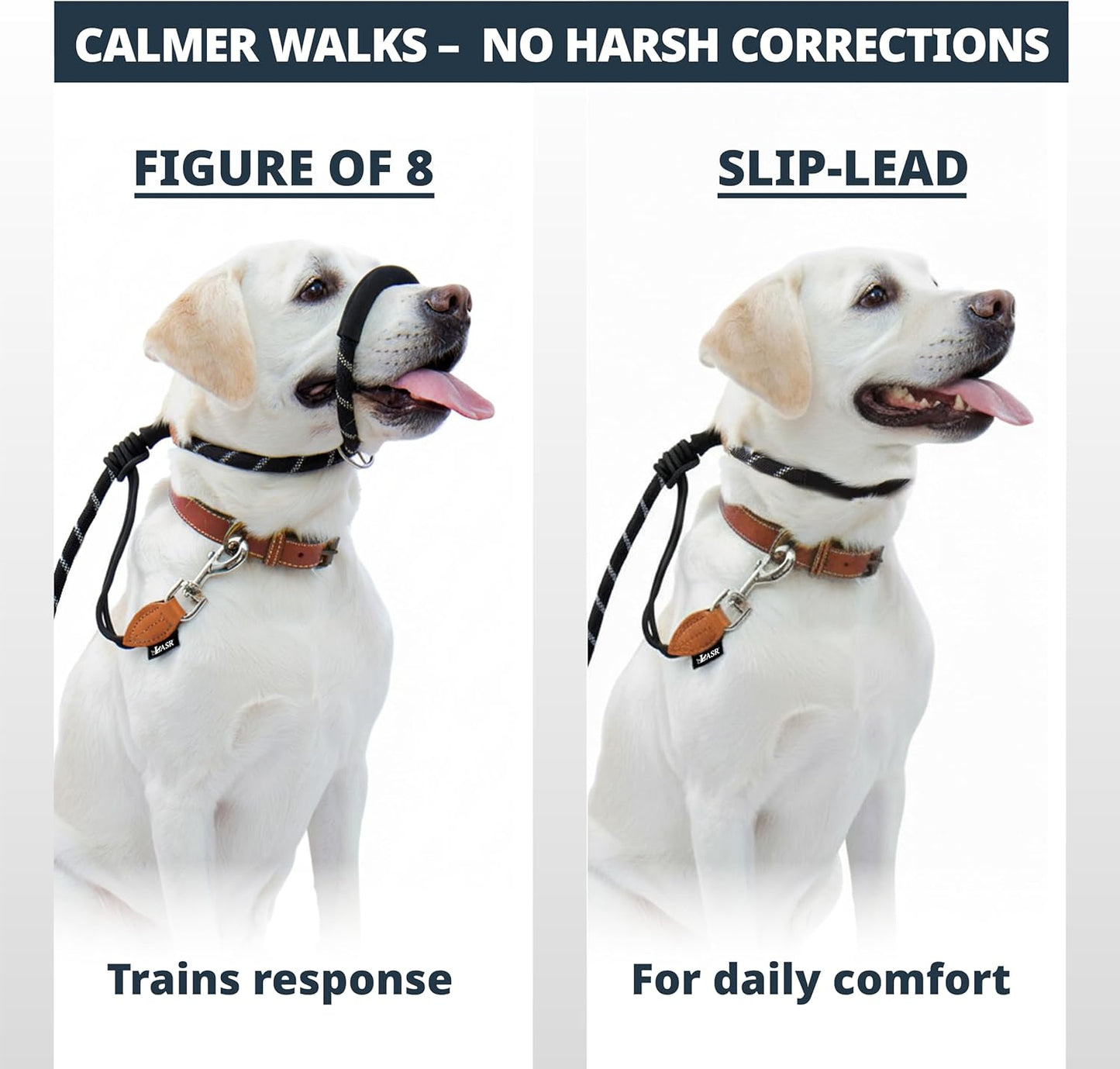 Figure of 8 Slip Lead for Dogs, Dual-Use No-Pull Training Leash with Stopper, Neoprene Nose Padding, Reflective Safety Strip and Robust Static 14-Core Nylon Rope