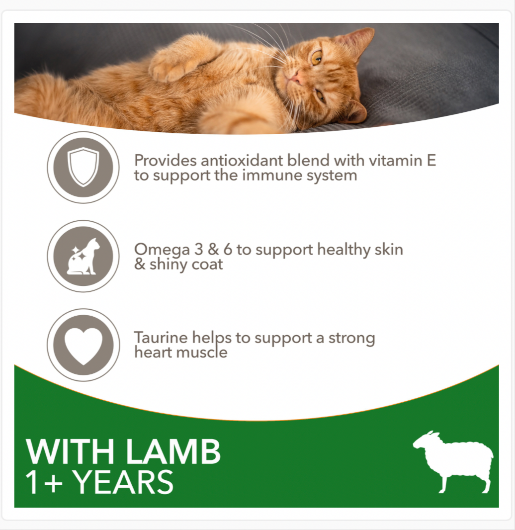 Iams Cat Adult with Lamb 2 x 2kg