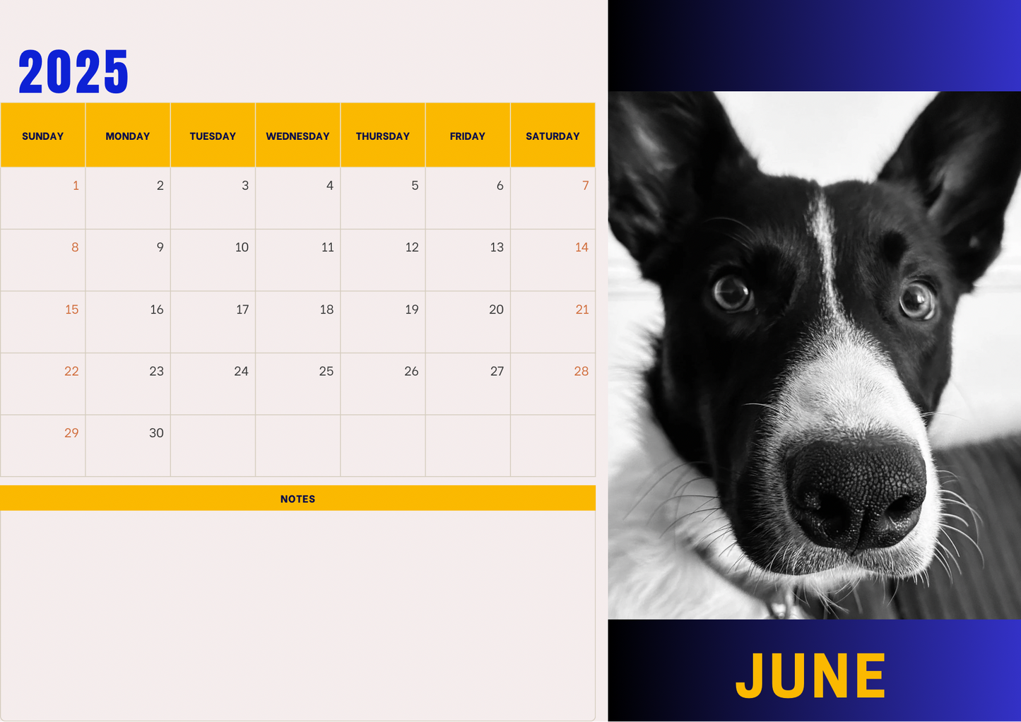 Dogs 2 calendar 2025 A4 landscape