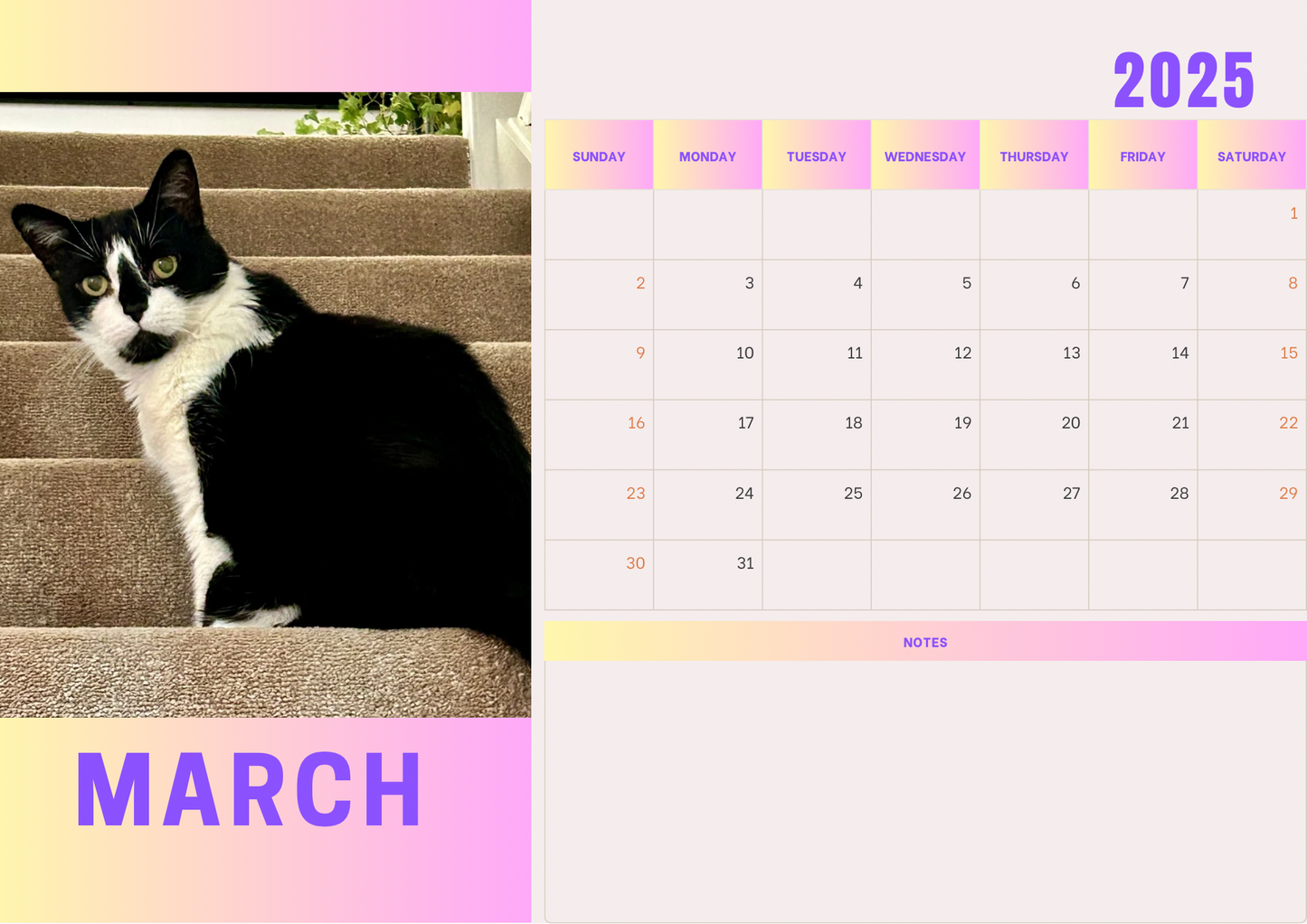 Cats 2 calendar 2025 A4 landscape