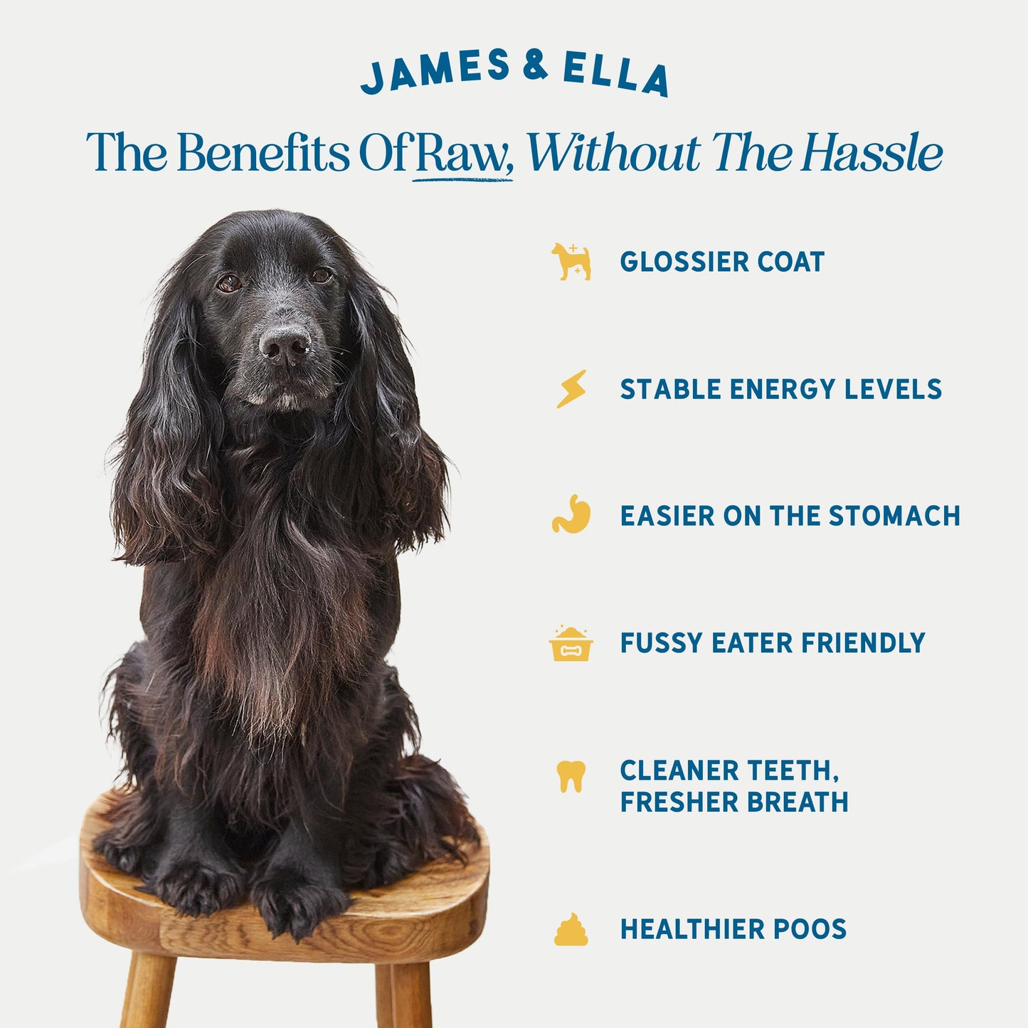 James & Ella Complete Freeze-Dried Raw Dog Food ❘ Free Run Chicken ❘ Freeze-Dried Dog Food, Packed with Protein, Essential Oils & Minerals for Happy, Healthy Dogs, Lightweight & Gluten Free (500g)