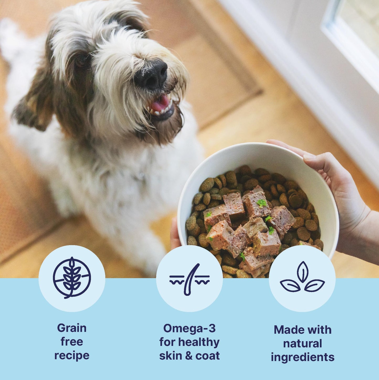 Tails.com Inner Vitality - Wet Dog Food Tin Adult Chicken 6 x 400g - 1-7 yrs - Source of antioxidants from parsley & blueberry extract