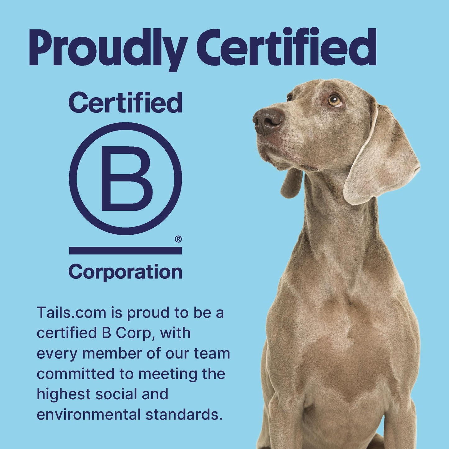 Tails.com Inner Vitality - Dry Dog Food Medium & Large Adult Chicken 2kg - 1-7 yrs - Source of glucosamine & chondroitin to support healthy joints