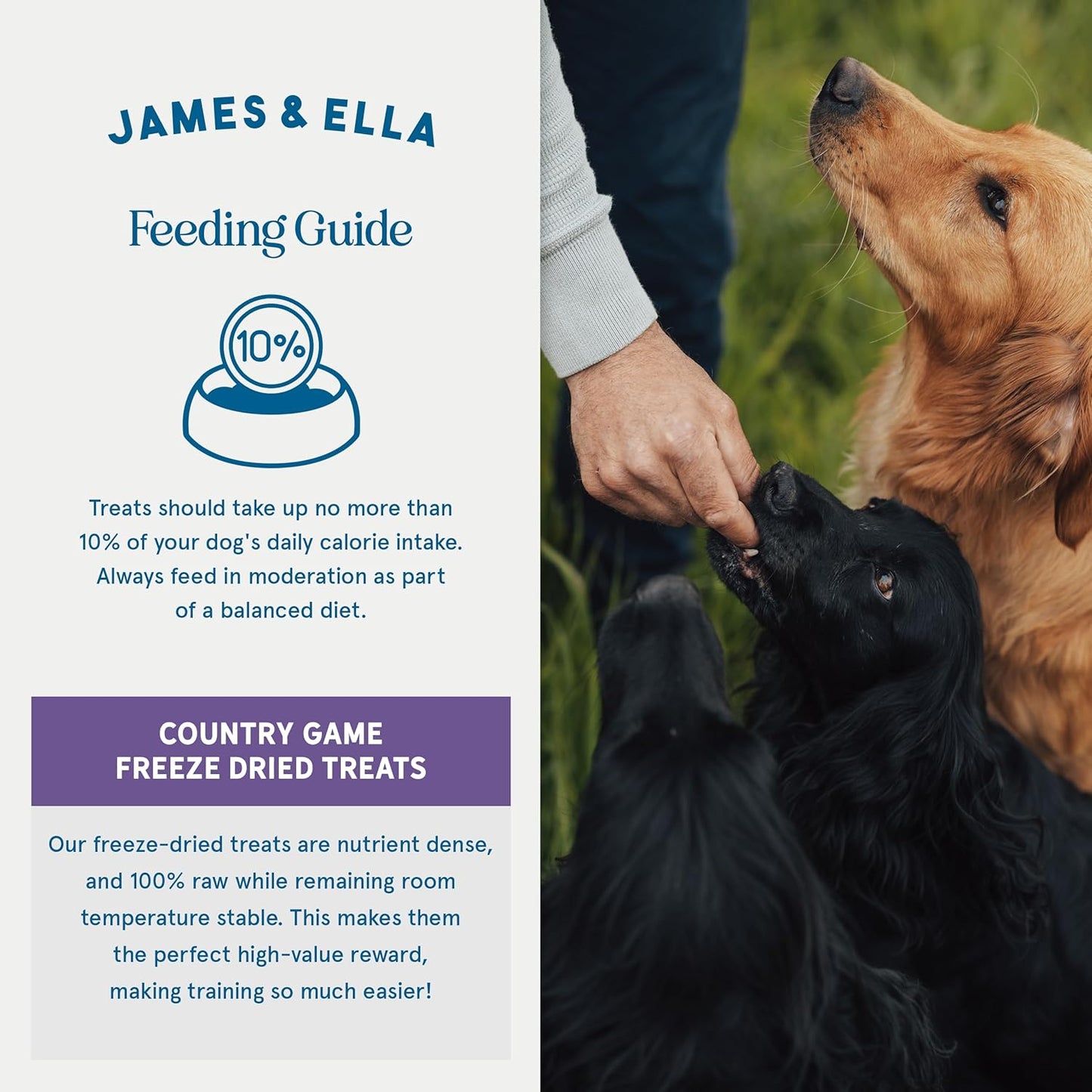James & Ella Freeze-Dried Dog Treats (40g) ❘ Delicious Country Game Freeze-Dried Dog Treats, Packed with Protein, Essential Oils & Minerals for Happy, Healthy Dogs, Lightweight & Gluten Free