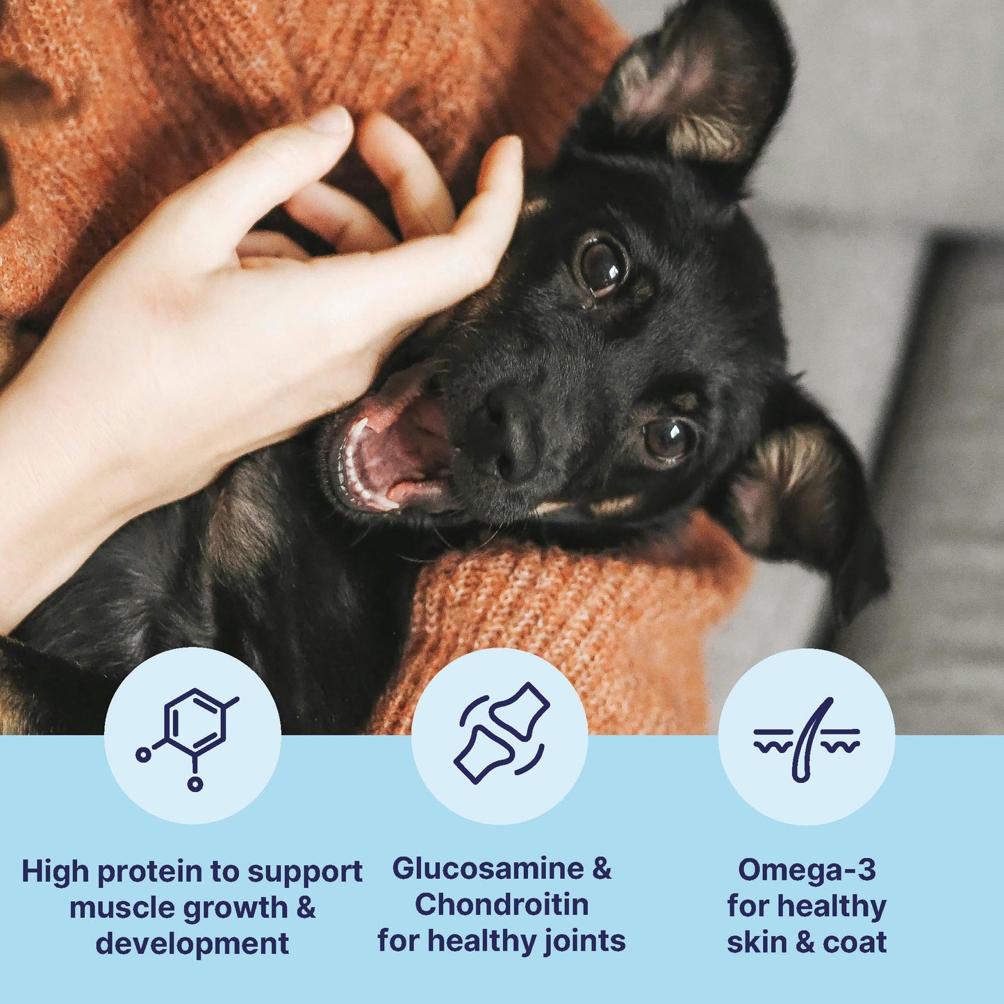 Tails.com Inner Vitality - Dry Dog Food Medium & Large Adult Chicken 2kg - 1-7 yrs - Source of glucosamine & chondroitin to support healthy joints