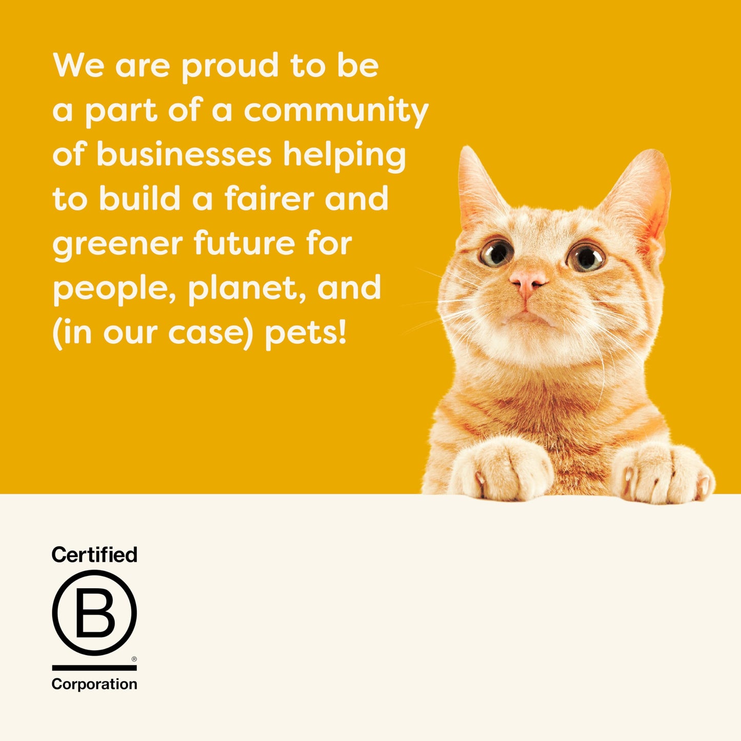 Applaws Complete Natural and Grain Free Dry Adult Cat Food