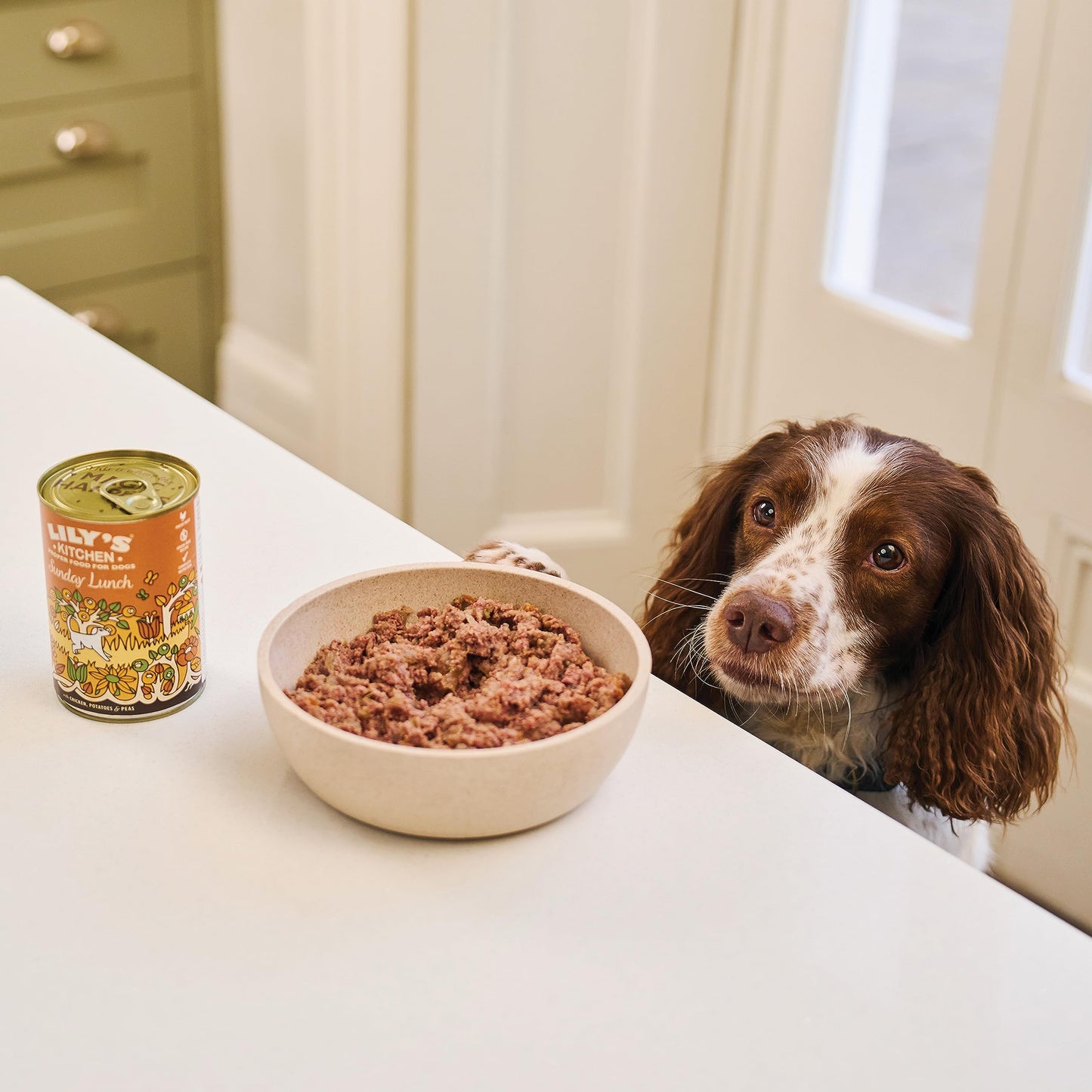 Lily's Kitchen Natural Adult Wet Dog Food Tray Cottage Pie Grain-Free Recipe 10 x 150g