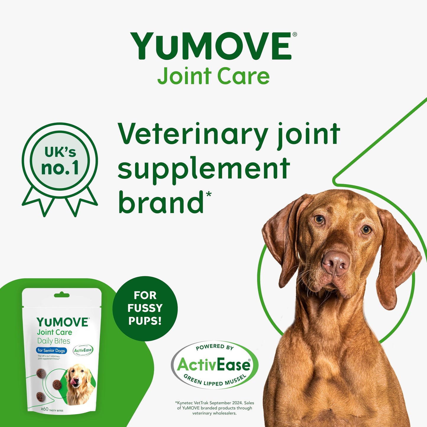 YuMOVE Max Strength Joint Supplement for Senior Dogs, Essential Dog Hip and Joint Aid for Senior Dogs with Glucosamine, Chondroitin, Green Lipped Mussel, Aged 8+, 60 Chews