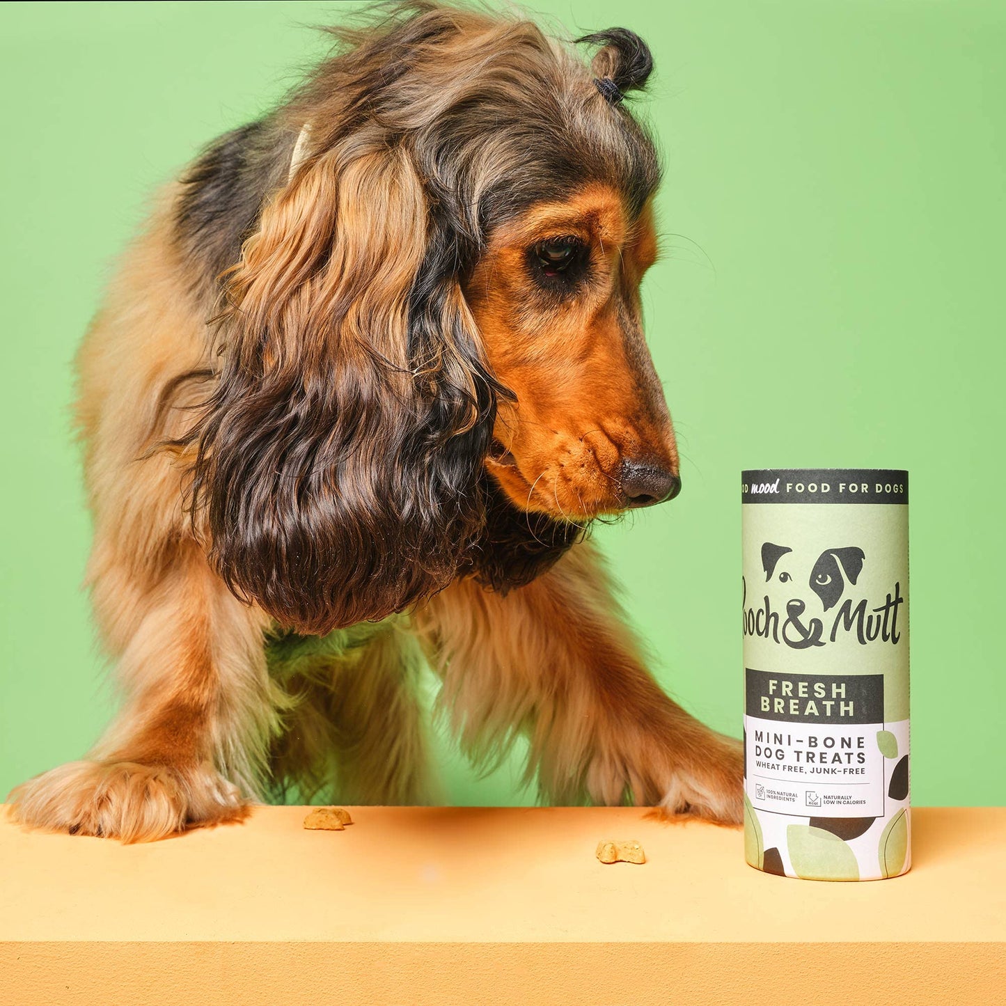 Pooch & Mutt - Meaty Jerky Treats, Grain Free Baltic Beef for Training Reward