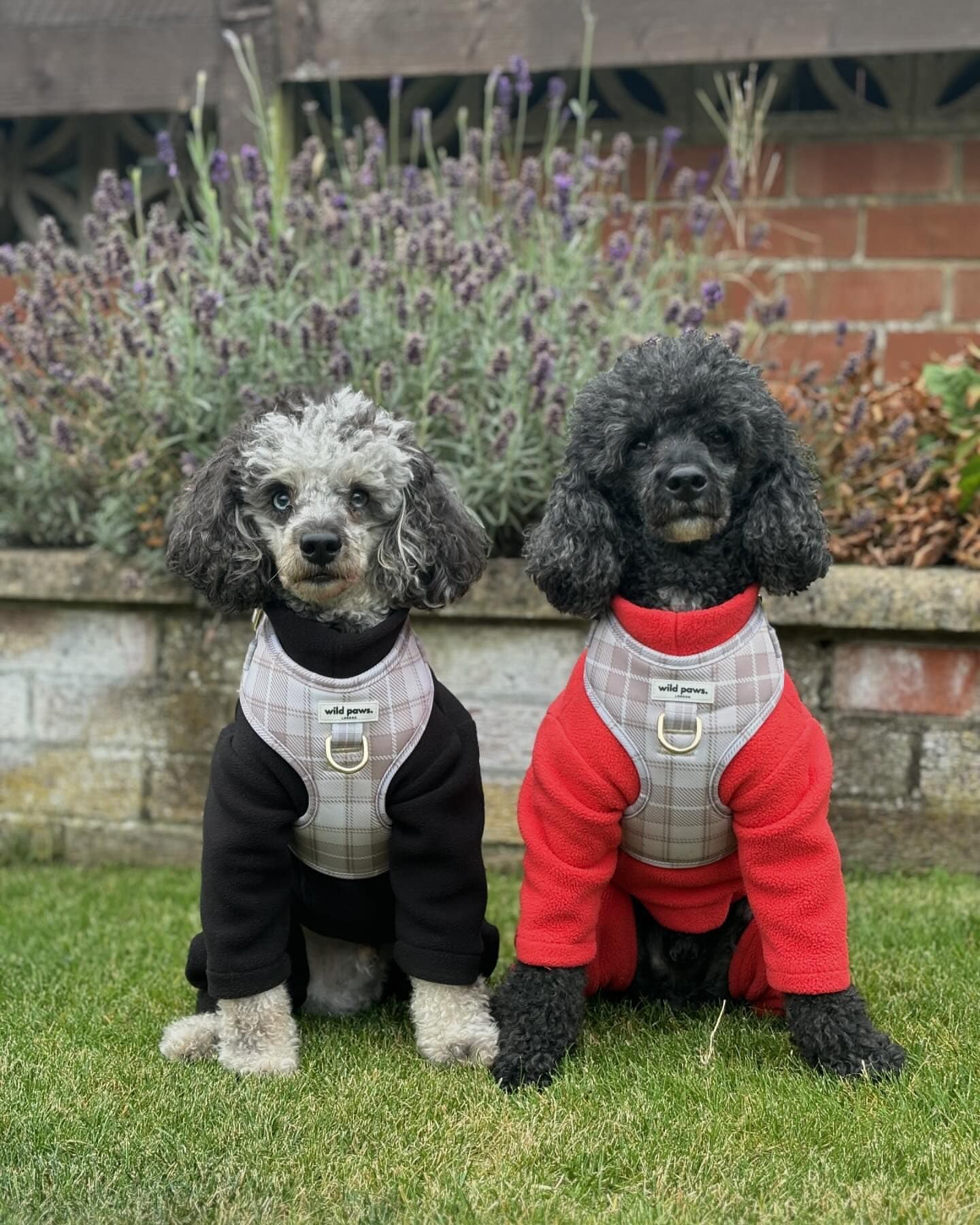 Warm Four-Legged Dog Fleece – Super Soft, Weather-Resistant, Available in a Range of Sizes and Colours