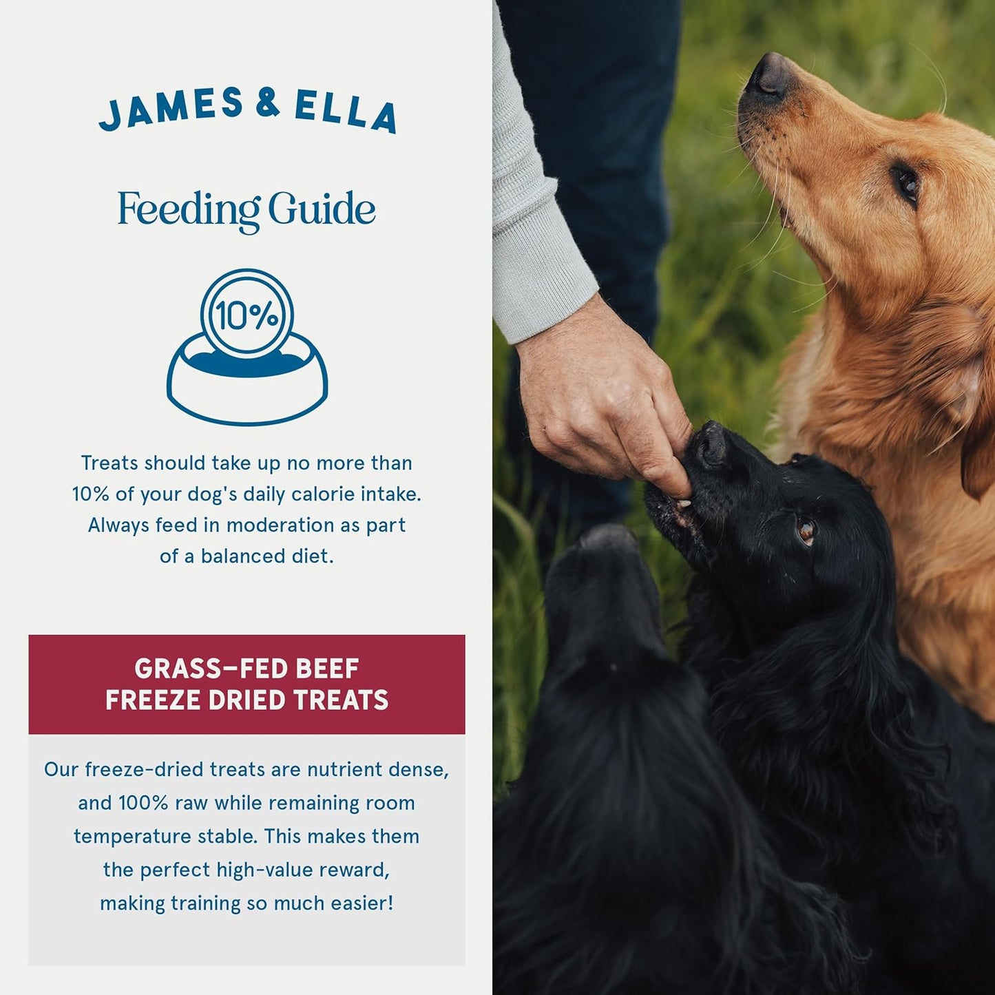 James & Ella Freeze-Dried Dog Treats (40g) ❘ Delicious Country Game Freeze-Dried Dog Treats, Packed with Protein, Essential Oils & Minerals for Happy, Healthy Dogs, Lightweight & Gluten Free