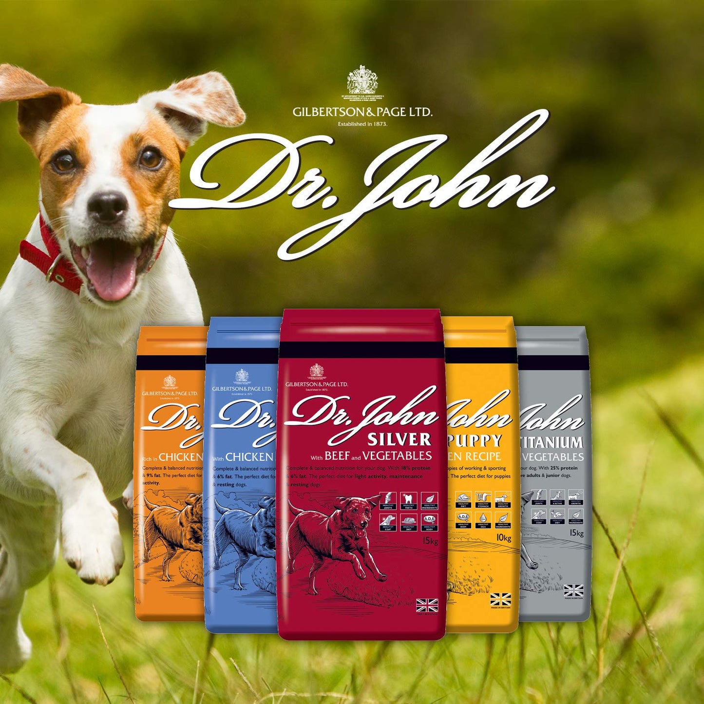 Dr John Silver Dry Dog Food 15kg - Beef with Vegetables - Complete Dog Biscuits 15kg - Senior and Adult Dog Food for Light Activity, Maintenance and Resting Dogs