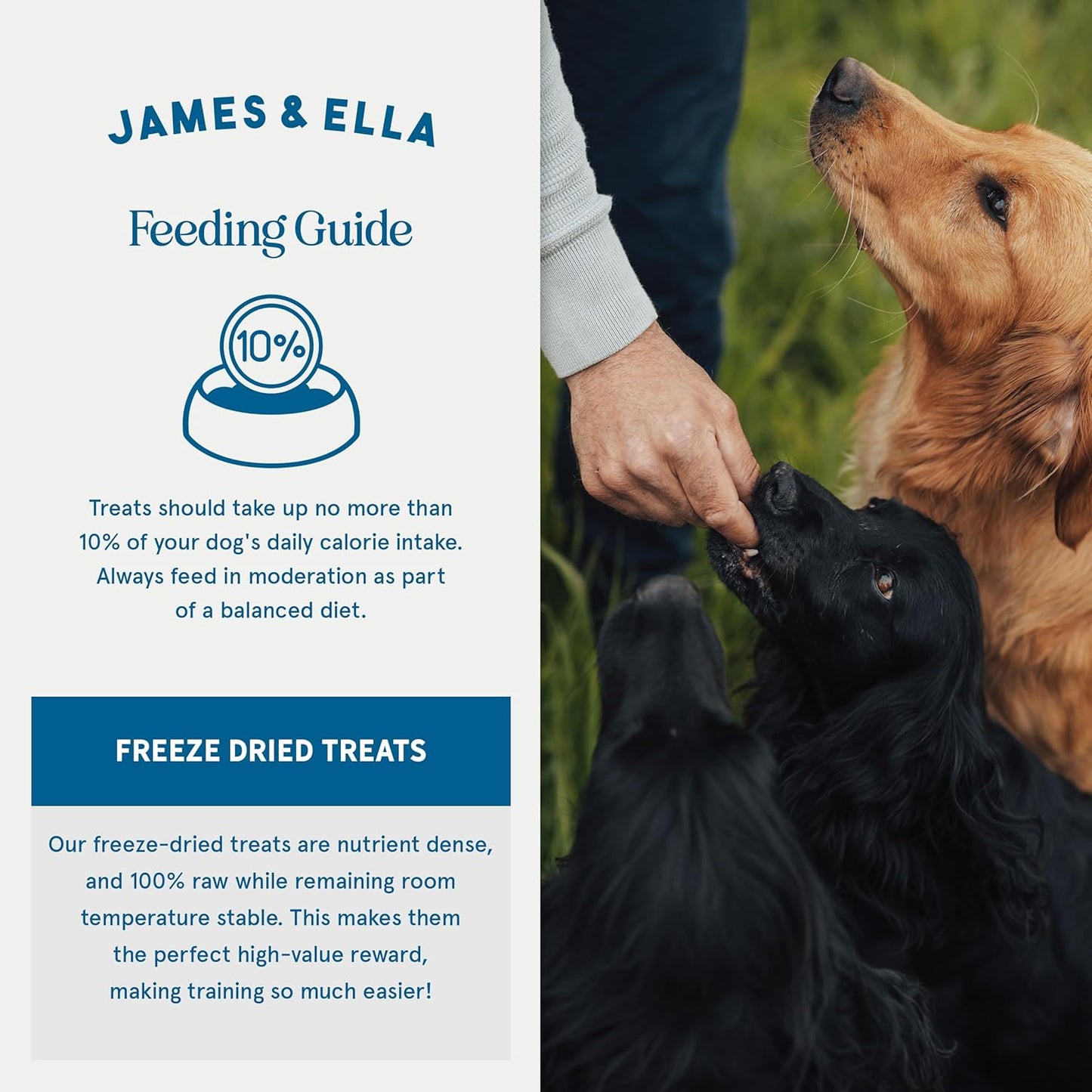 James & Ella Freeze-Dried Dog Treats (40g) ❘ Delicious Country Game Freeze-Dried Dog Treats, Packed with Protein, Essential Oils & Minerals for Happy, Healthy Dogs, Lightweight & Gluten Free