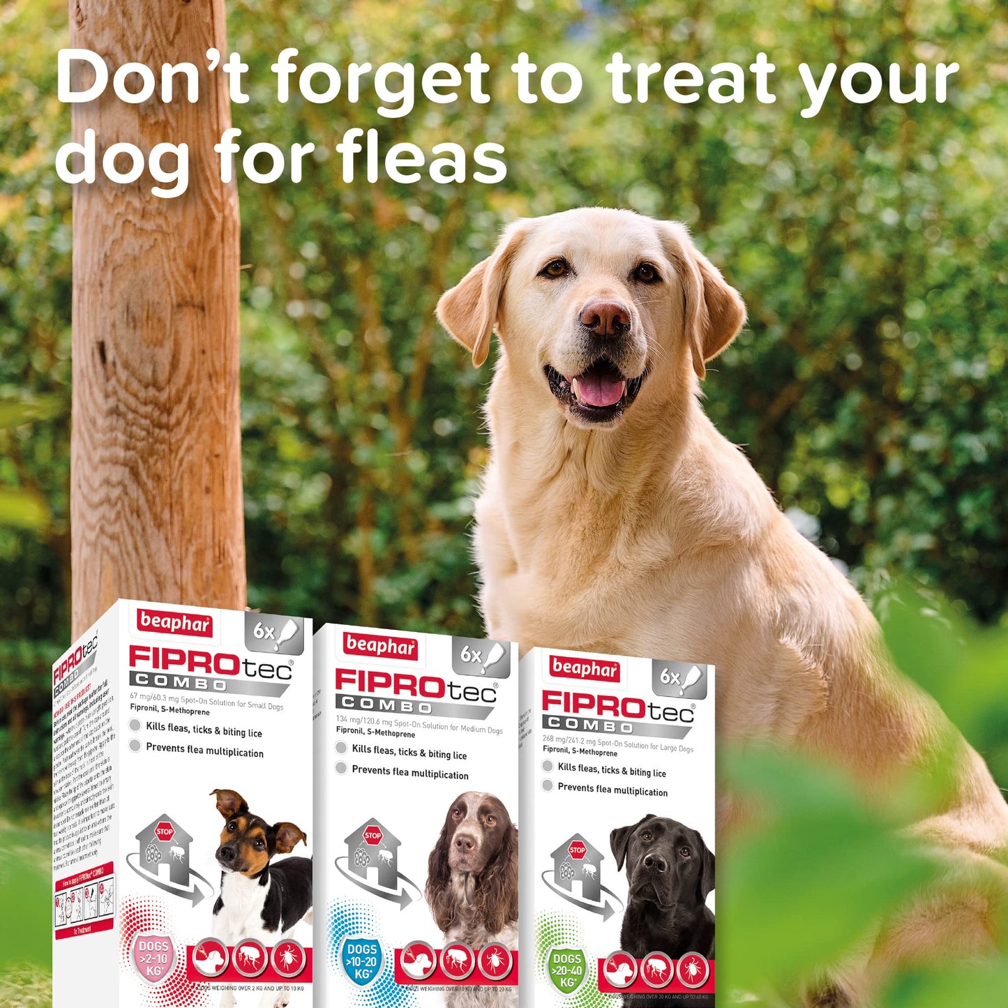 Beaphar | WORMclear® Tablets for Dogs up to 40kg | Kills All Common UK Intestinal Worms (Roundworms & Tapeworms) | Vet Strength Treatment | Pork-flavoured | 4 tablets