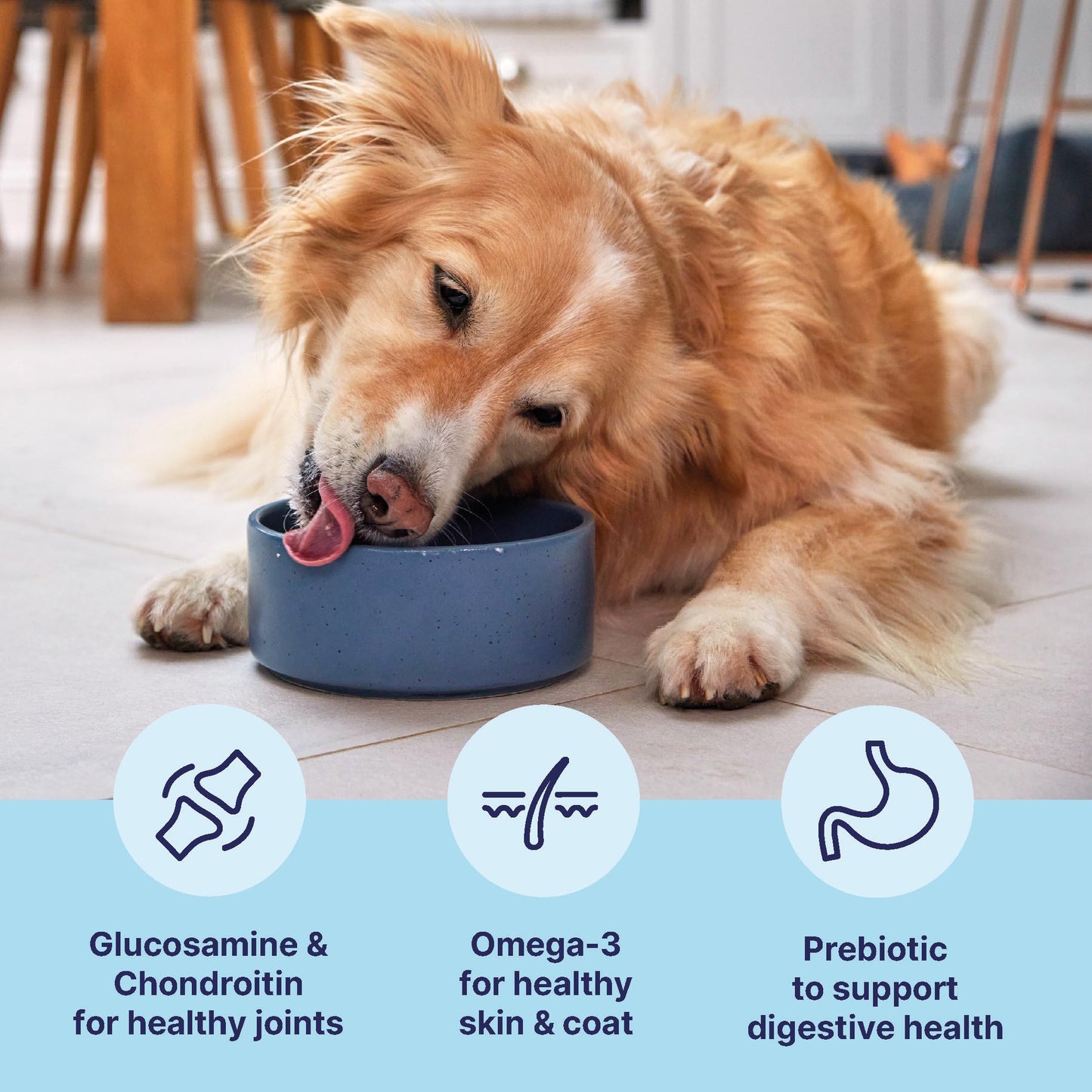 Tails.com Inner Vitality - Dry Dog Food Medium & Large Adult Chicken 2kg - 1-7 yrs - Source of glucosamine & chondroitin to support healthy joints