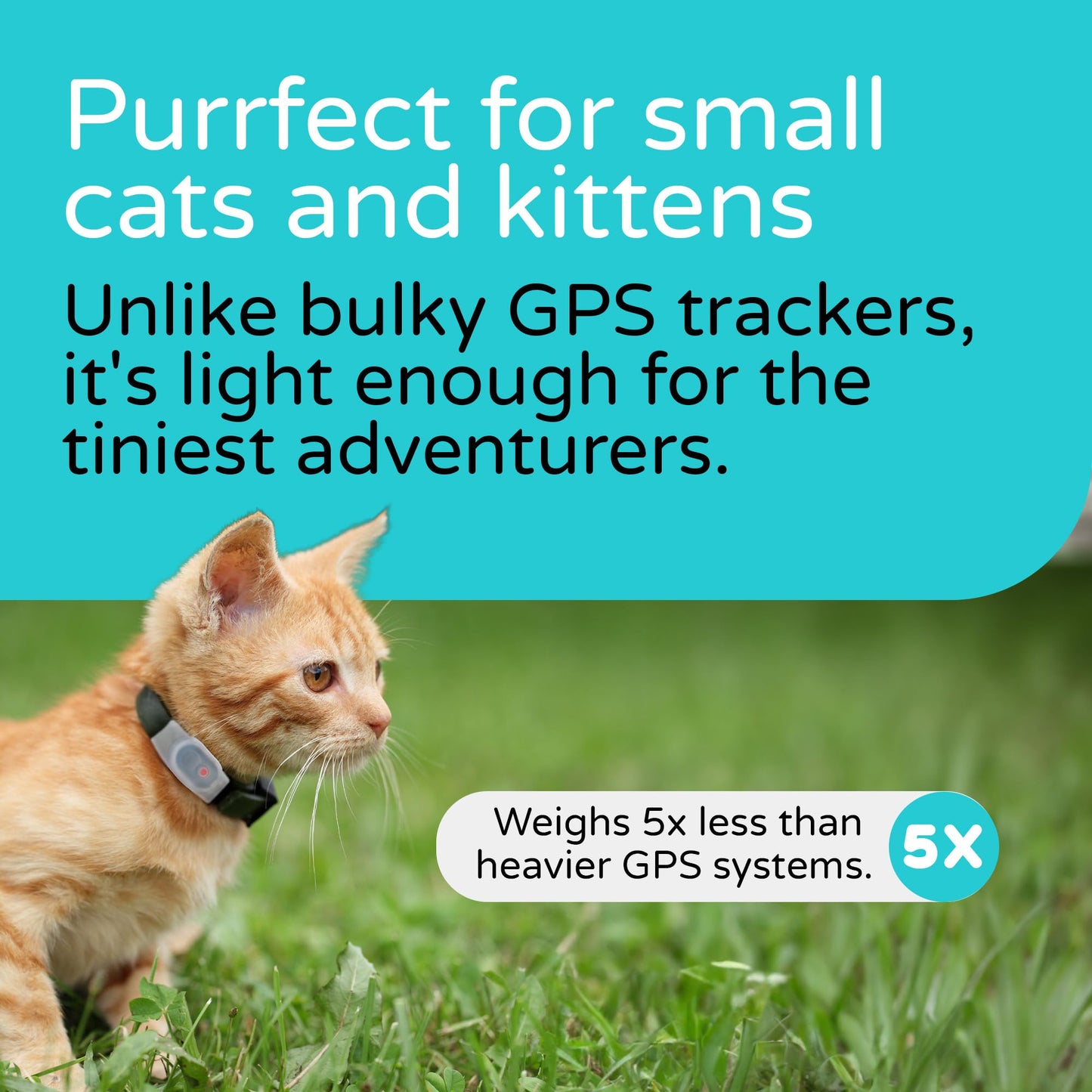 V2 Cat & Kitten Tracker - More Accurate than GPS - No Monthly Fee or Subscription - Includes 2 Homing Tags - Up To 150m Range - Small & Lightweight Tags Perfect to Find Indoor & Outdoor Cats