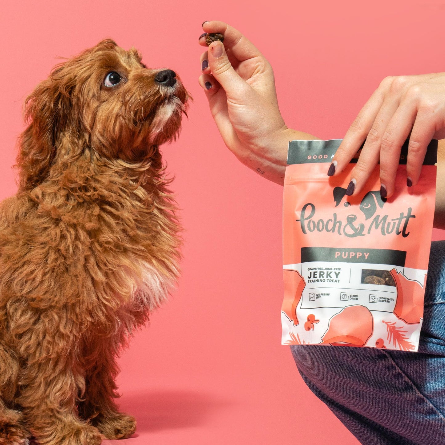Pooch & Mutt - Meaty Jerky Treats, Grain Free Baltic Beef for Training Reward