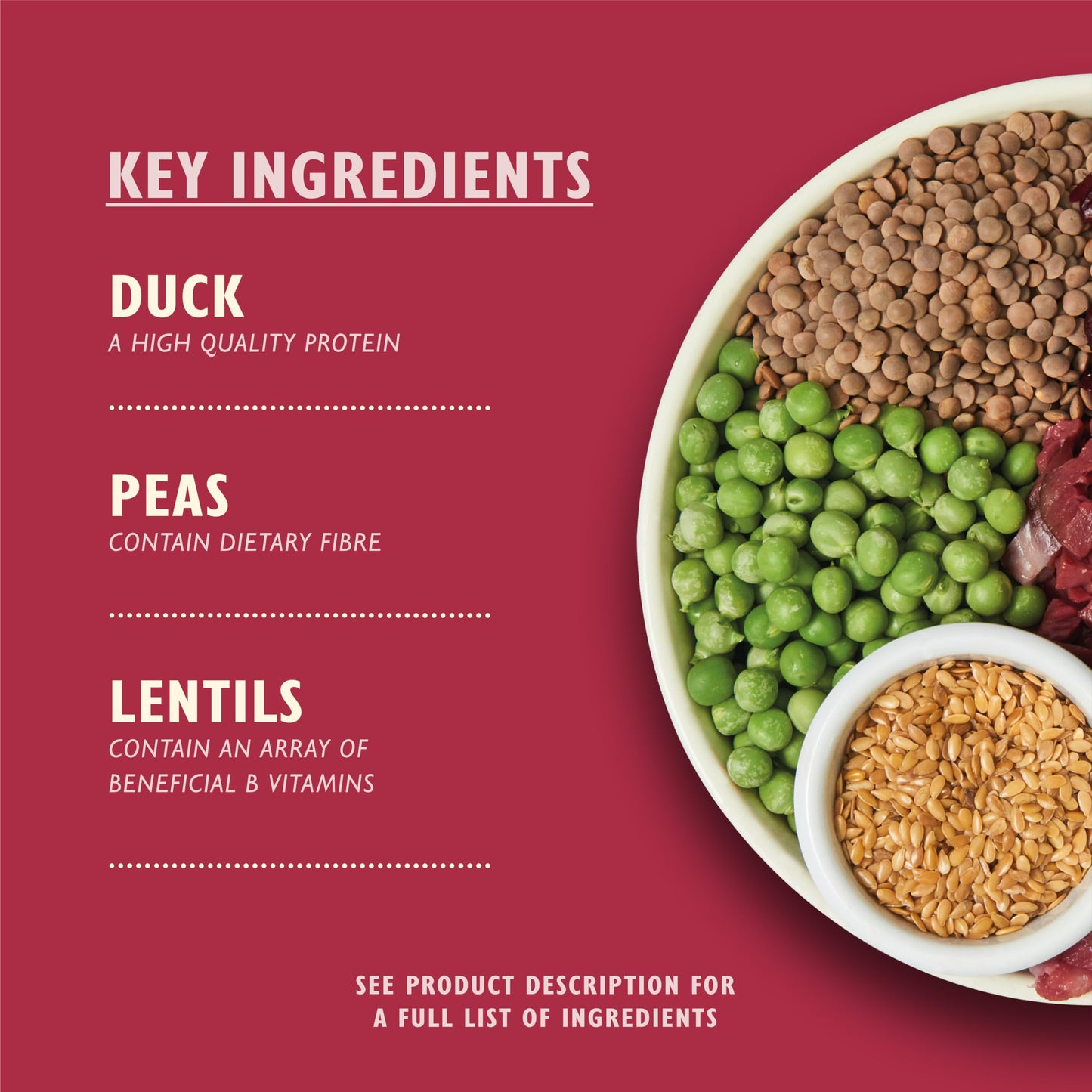 Lily’s Kitchen Made with Natural Ingredients Adult Dry Dog Food Balanced Recipe