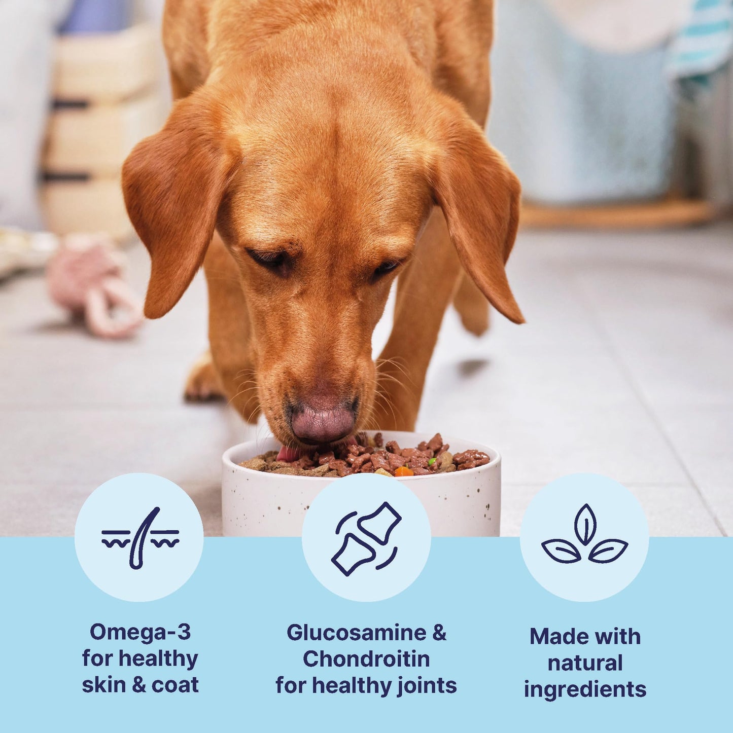 Tails.com Inner Vitality - Wet Dog Food Tin Adult Chicken 6 x 400g - 1-7 yrs - Source of antioxidants from parsley & blueberry extract